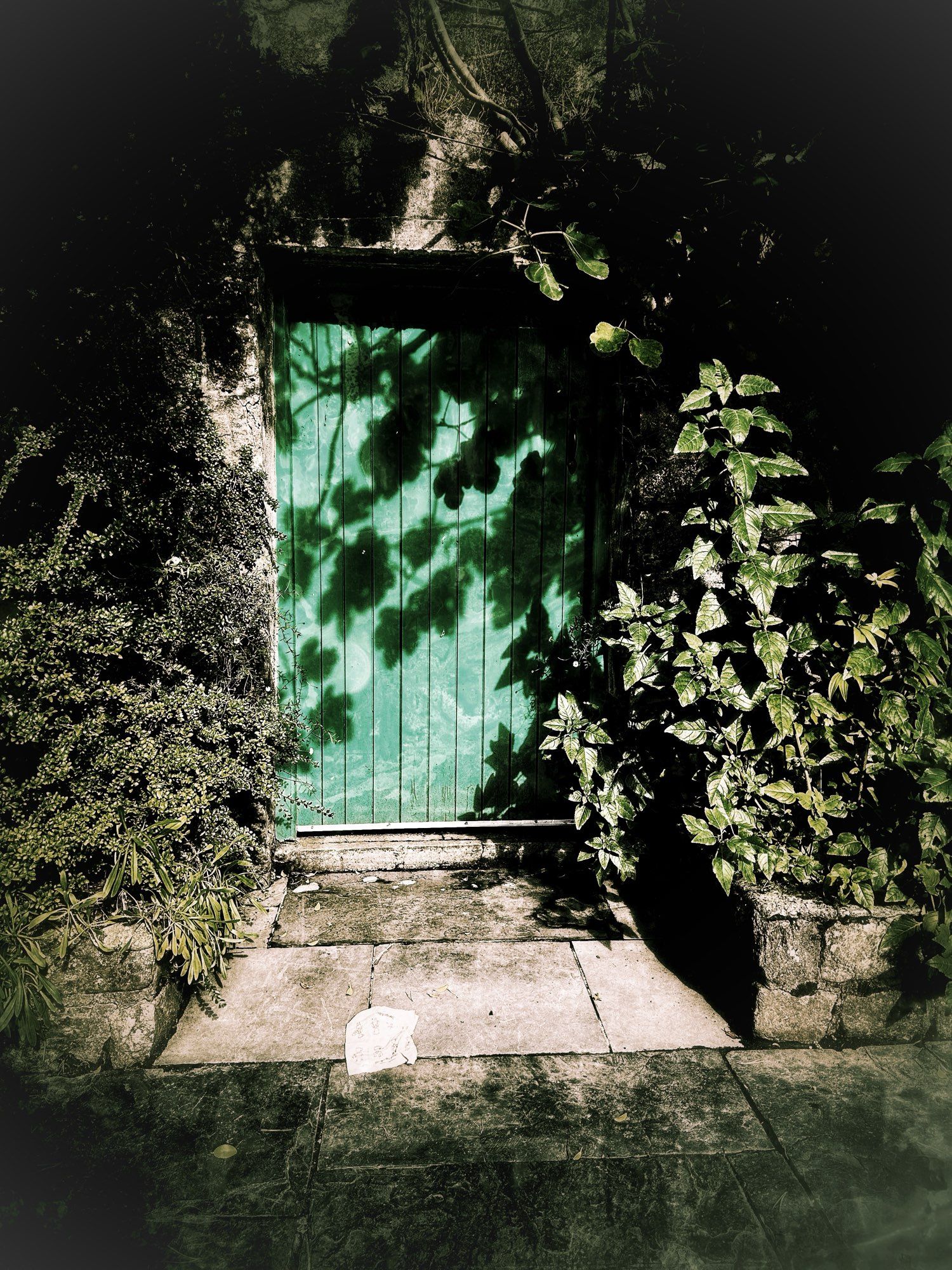 Old green door in partial shadow