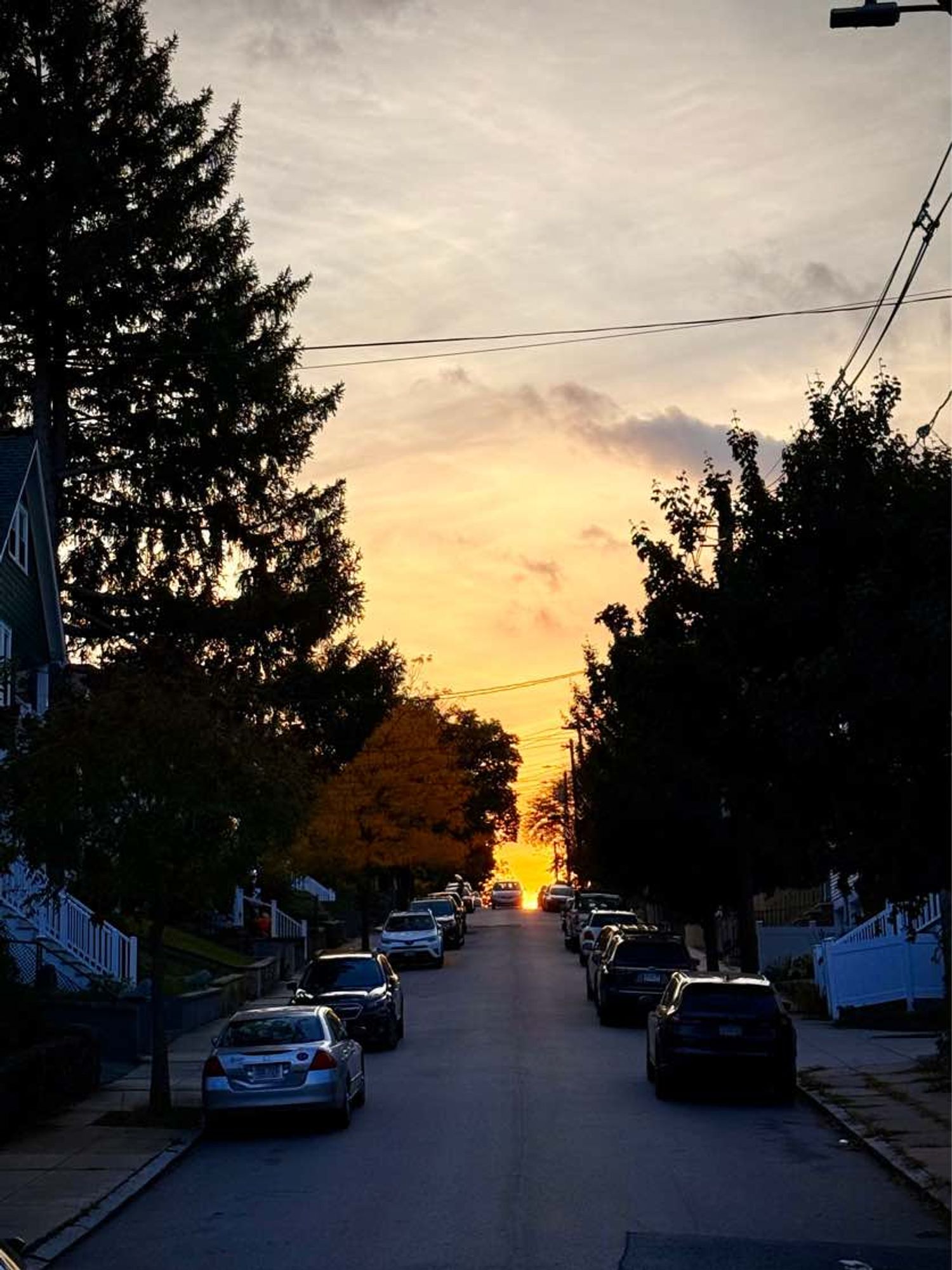 the sun sets at the top of a hilly, tree-lined street in brighton. on the left of the frame, one tree stands out with orange leaves