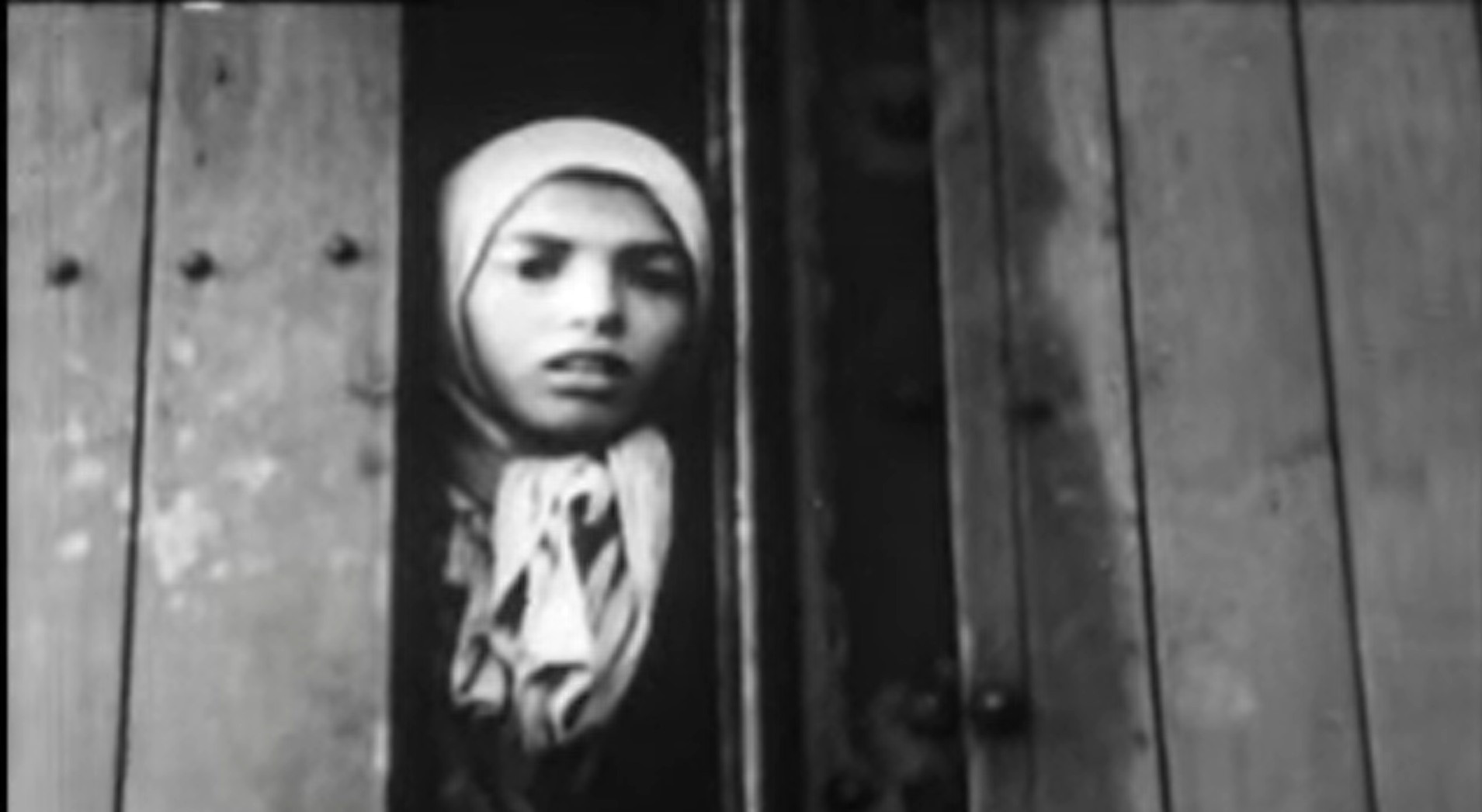 An image of 10-year-old Settela Steinbach, a Dutch Romani girl on a train to Auschwitz in 1944, became an icon of children in the Holocaust.