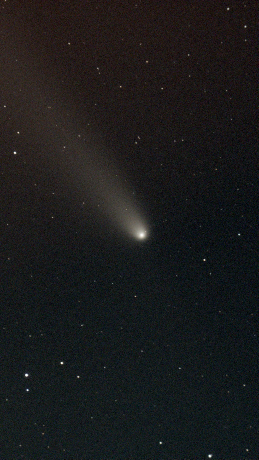 Comet C/2023 A3