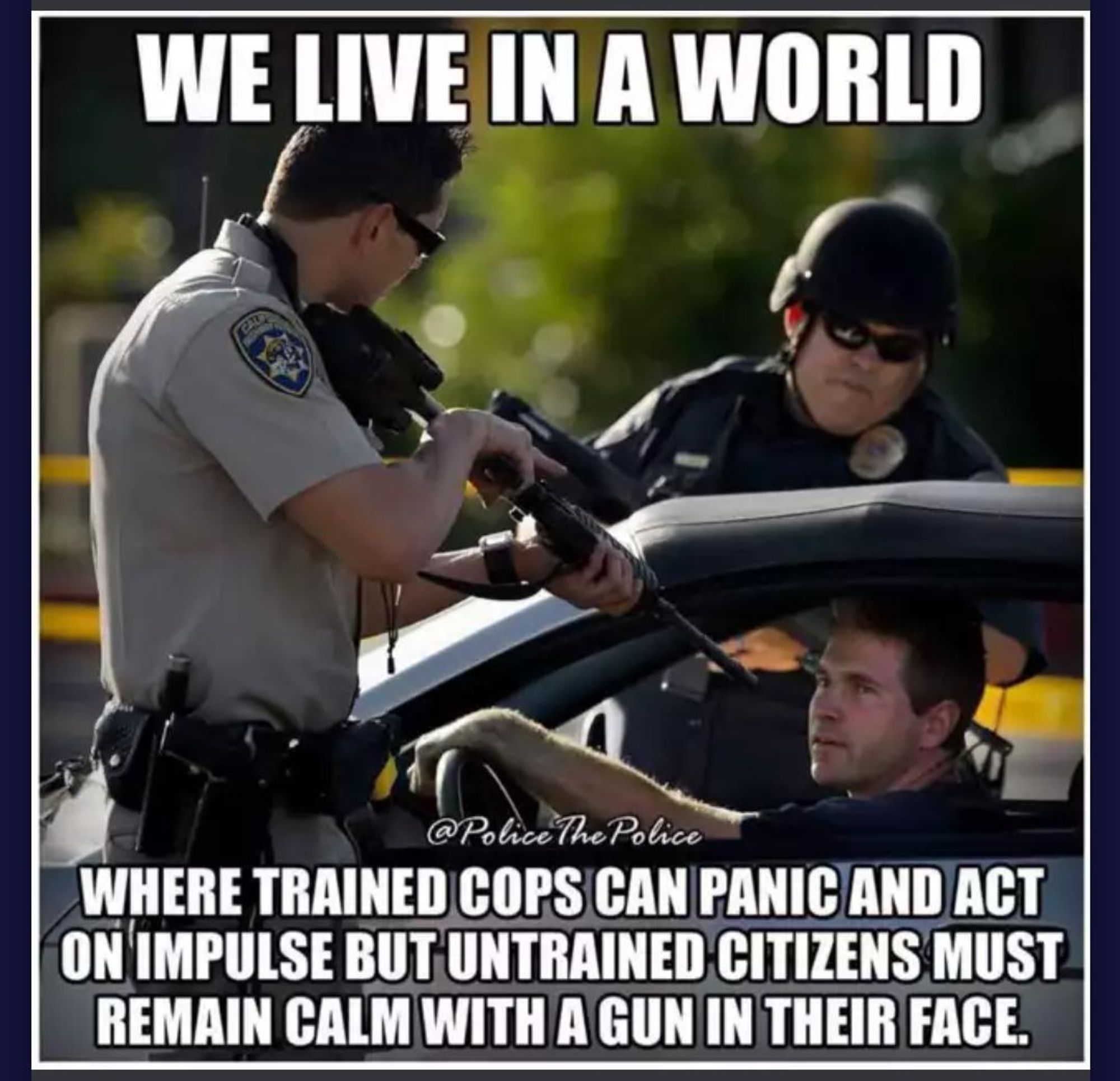 top text bottom text format meme. Photo shows a driver sitting in a car with his window down and his hands draped over his wheel. Outside his door is a cop aiming a rifling at his face, on the passenger side is a porky cop in a helmet. 
Top text "We live in a world" 
bottom text:  "where trained cops can panic and act on impulse but untrained citizens must remain calm with a gun in their face." 

there is also an @ "policethepolice" i dont know what platform that is for though.