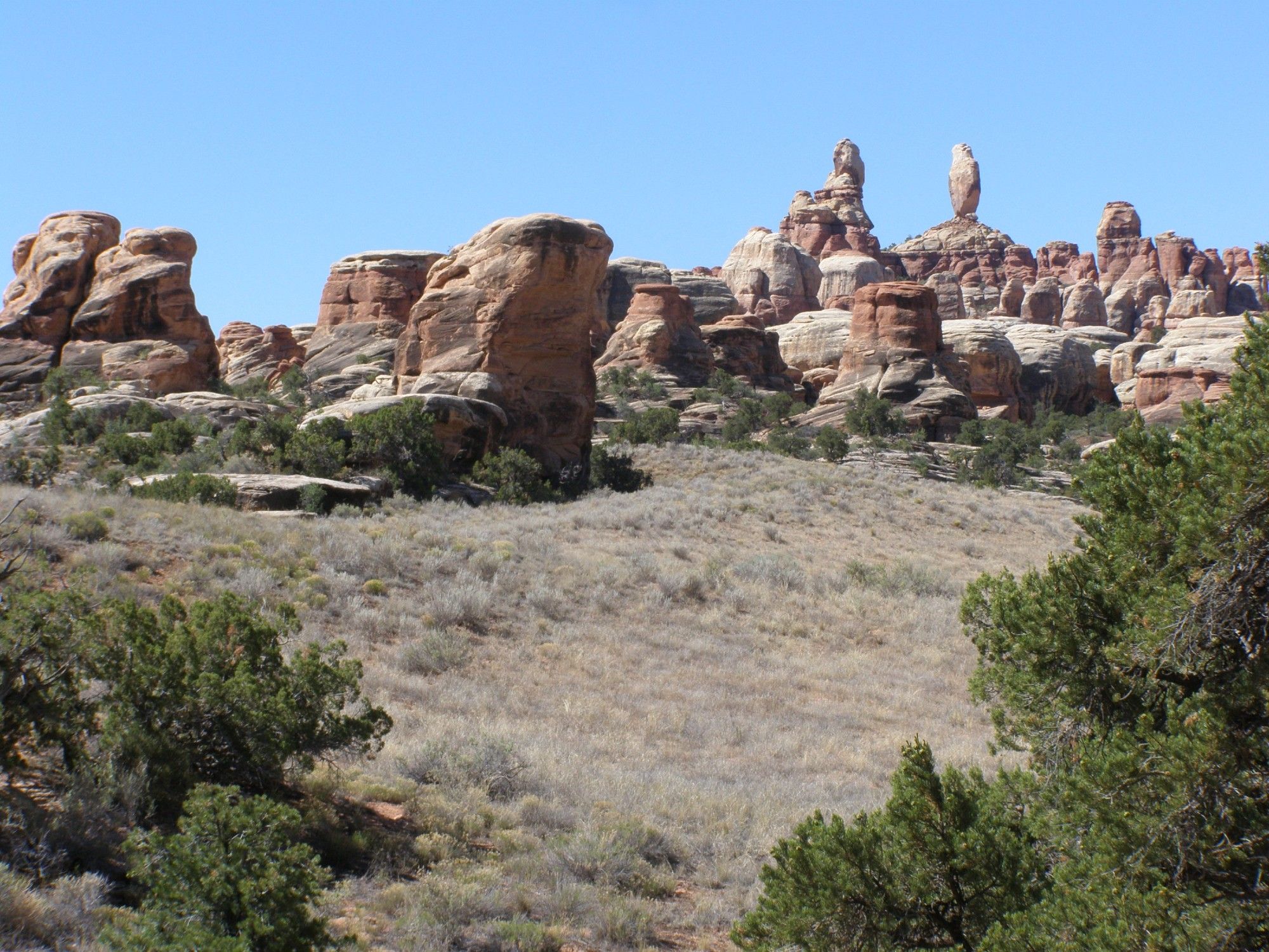 Red sandstone needles at Canyonlands National Park, Utah.