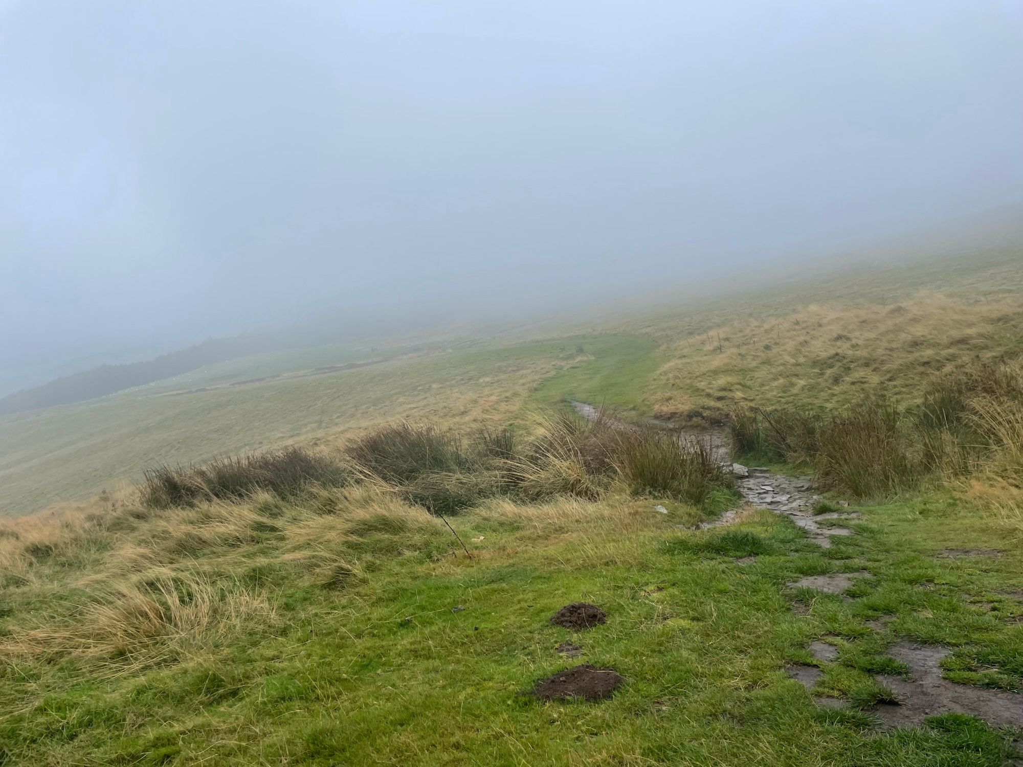 Another path leading into fog under Lose Hill.