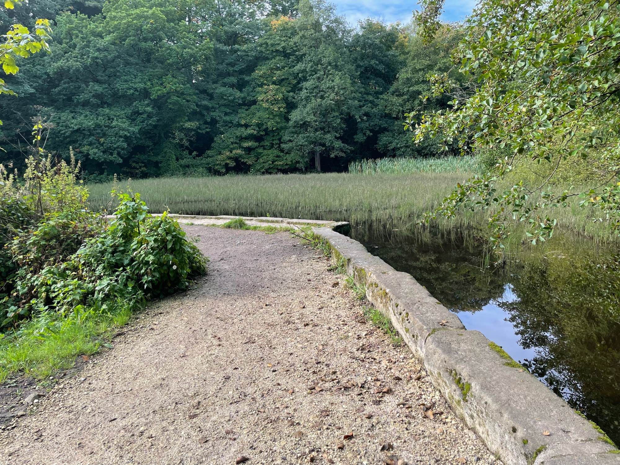 A path next to a mill pond and a wood.