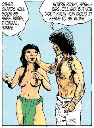 Censored panel from USA edition of "Thorgal" comic with nipples of woman censored with longer hair.