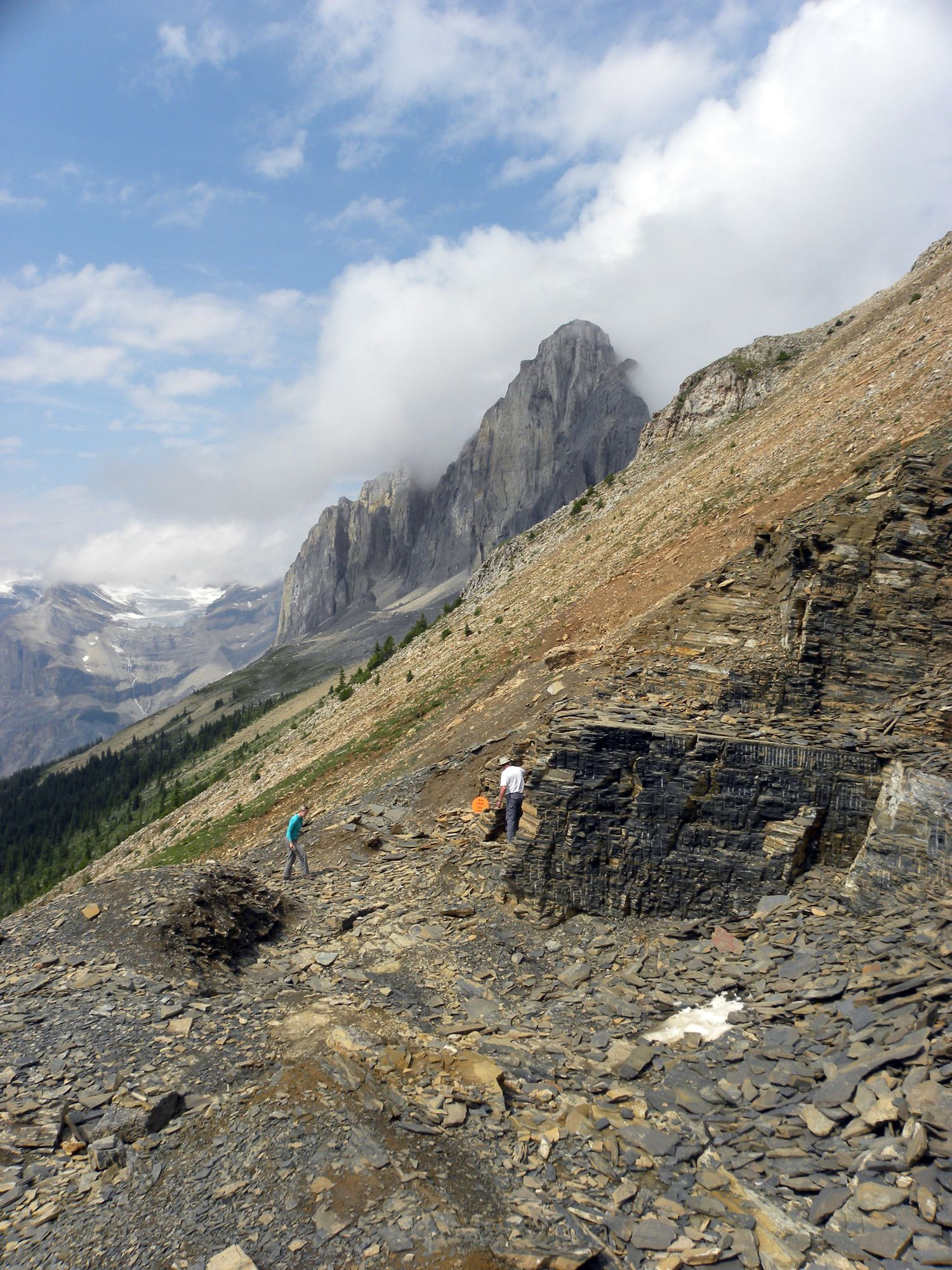 Walcott Quarry of the Burgess Shale (Middle Cambrian), British Columbia. The photo shows the Walcott Quarry Shale Member. The white parallel vertical streaks are remnants of drill holes made during excavations in mid-1990s.  Mark A. Wilson (Department of Geology, The College of Wooster)