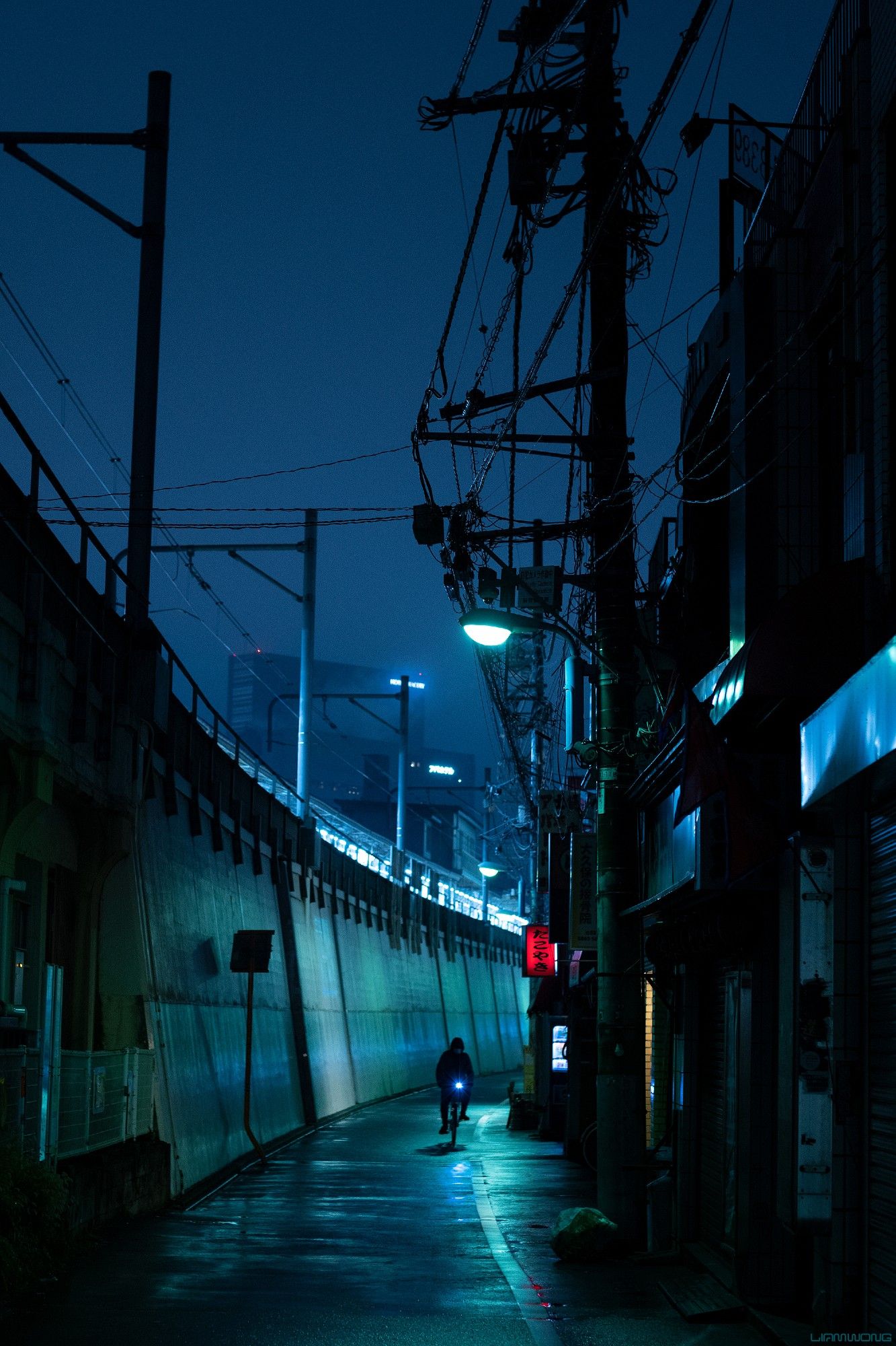 Photography by Liam Wong of Tokyo at night. A man cycles through Tokyo in the rain. The sky is blue and cut up by silhouettes of telephone poles and wires.