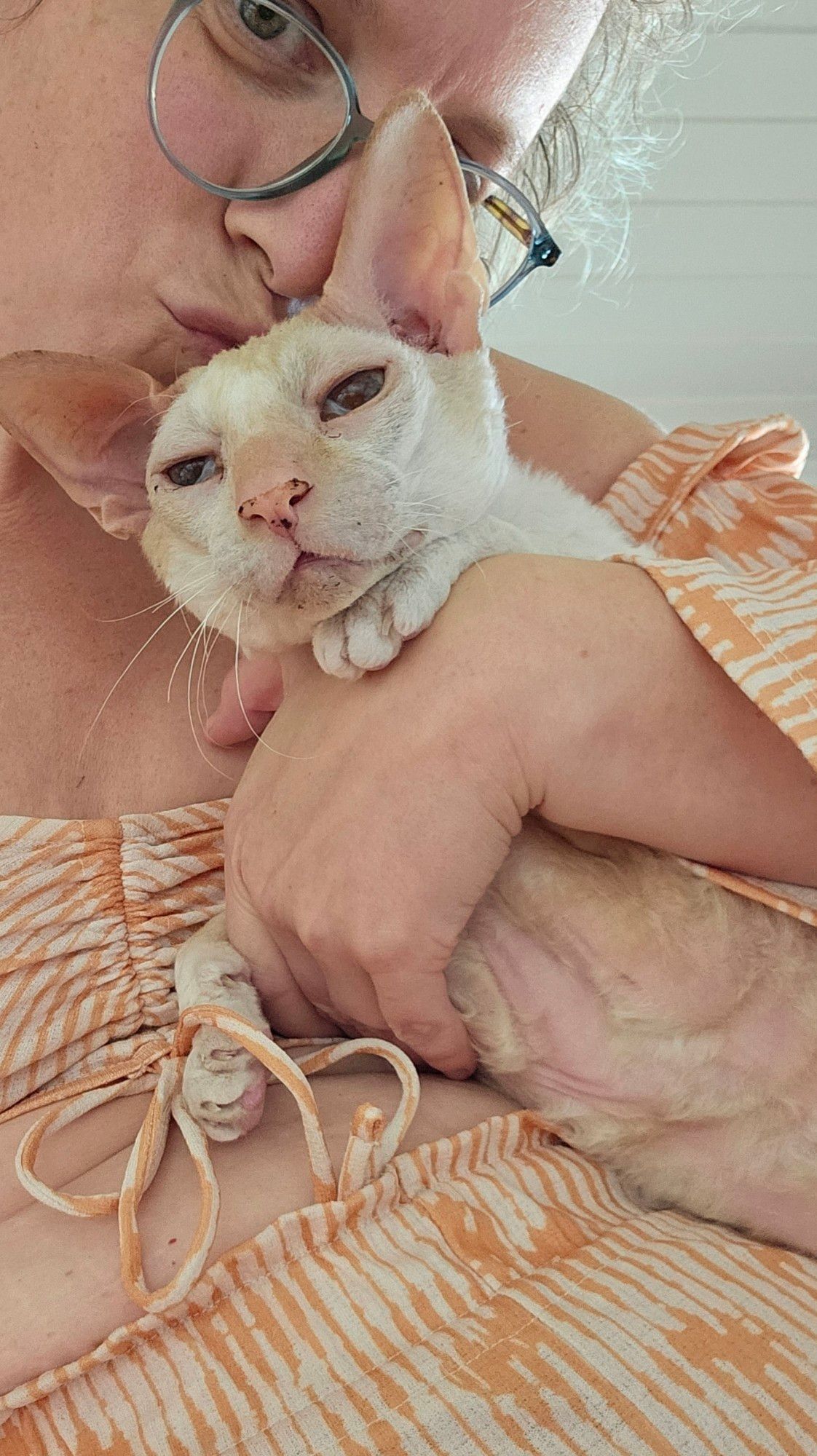 Selfie of a caucasian woman giving a kissy between the ears of a red point chunky cornish rex cat