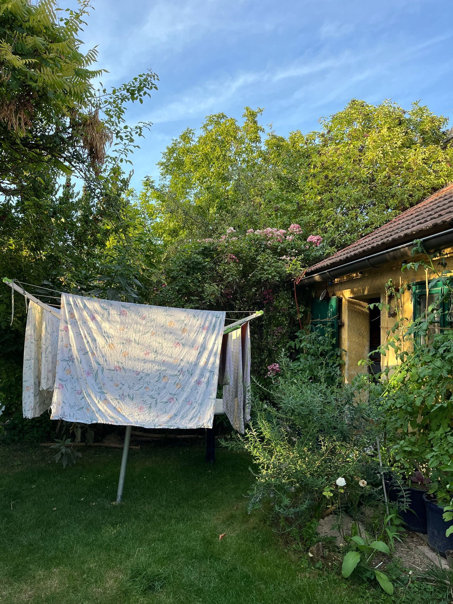 In einem grünen Garten steht eine Wäschespinne, darauf hängt helle, dezent geblümte Bettwäsche zum Trocknen. Rechts davon sieht man die halb von Pflanzen verdeckten gelb getünchten Mauern von einem kleinen Gebäude. Der Himmel ist blau und man kann sehen, wo die Sonne durchs Blätterdach fällt.