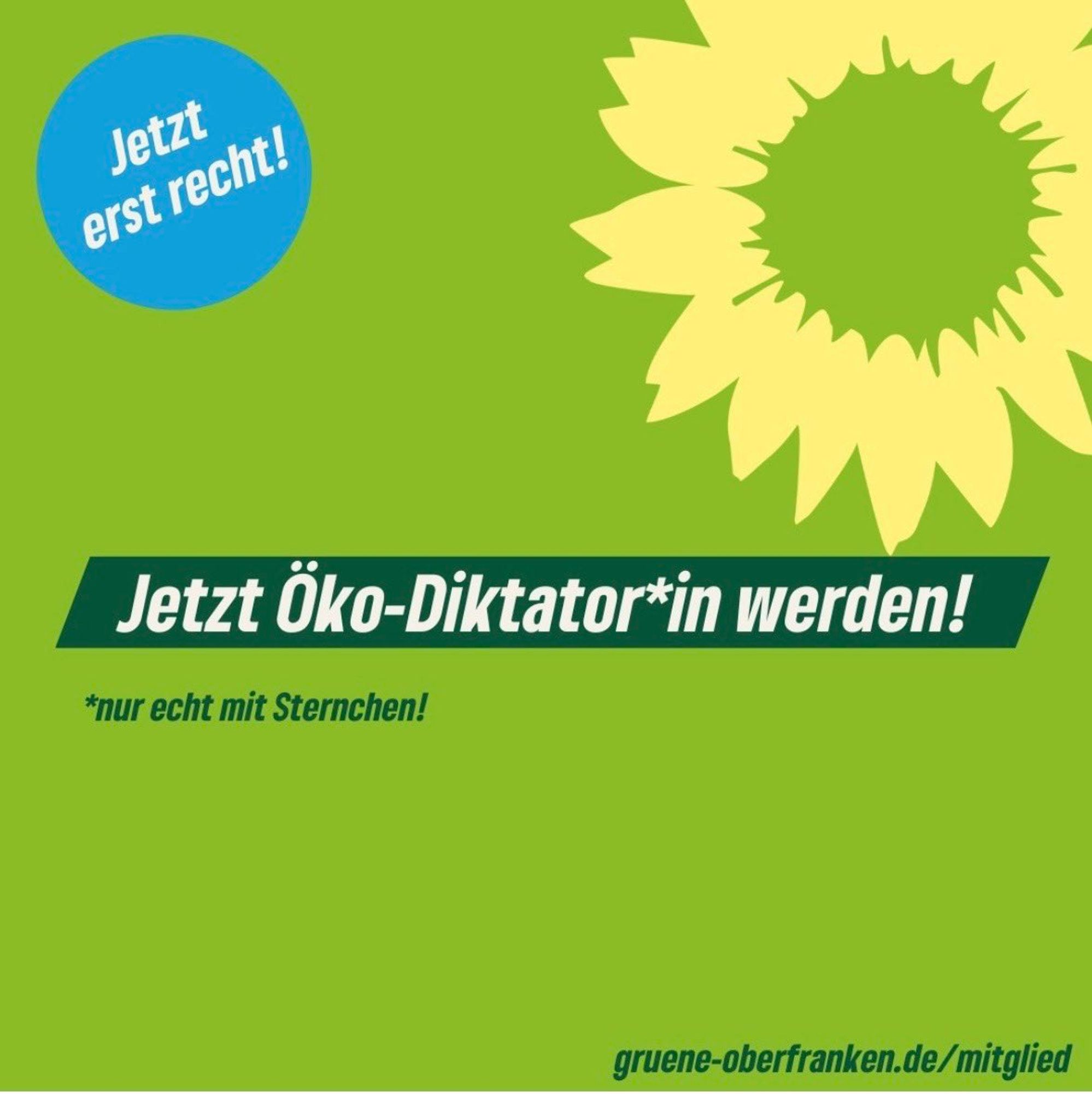 German Greens are mounting a sarcastic, funny campaign against being blamed for absolutely everything, past and present, by the populist right.