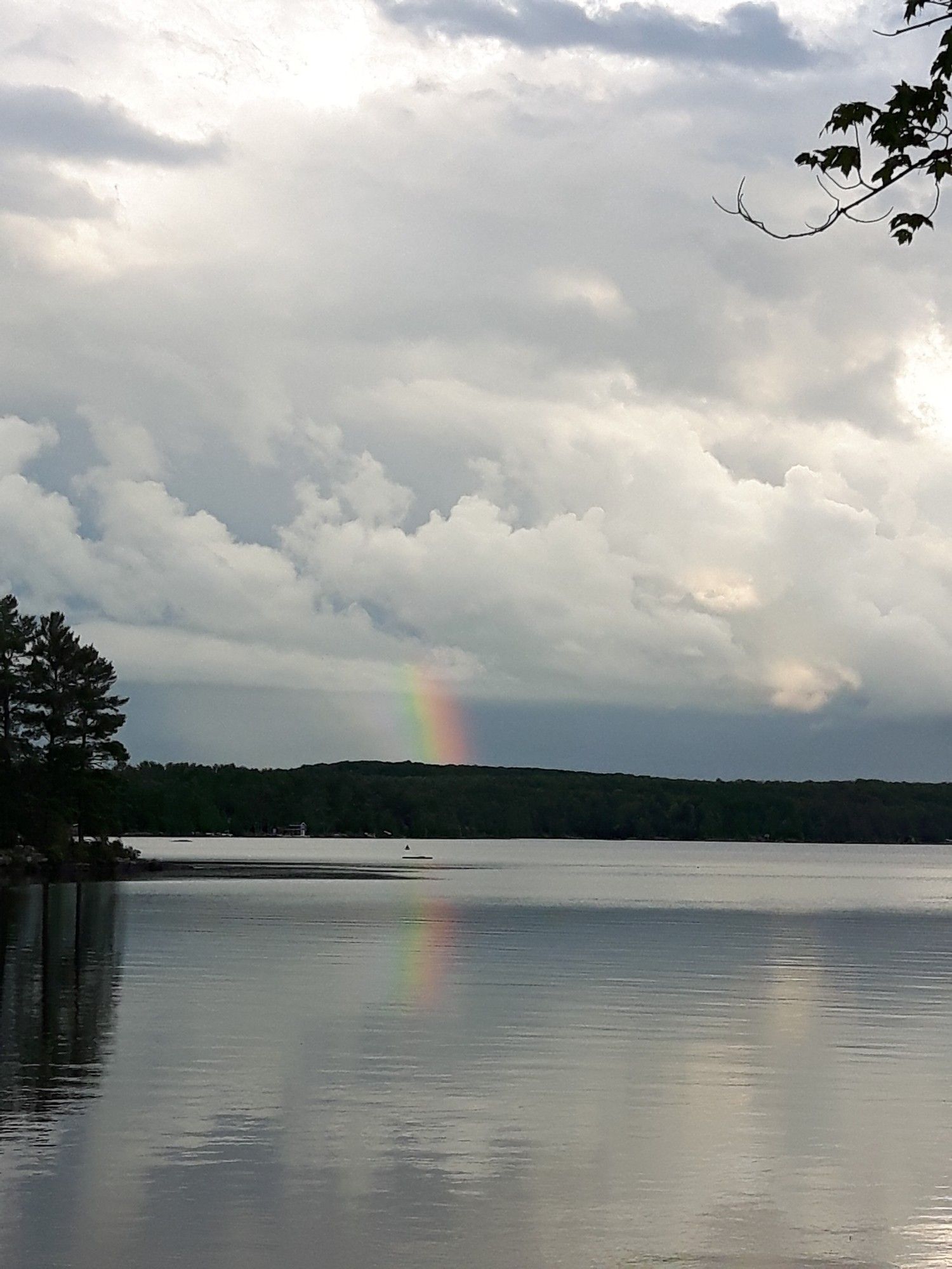 A rainbow breaks through a grey landscape