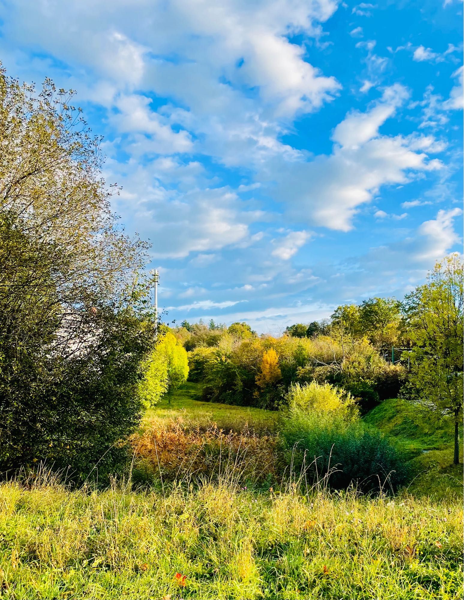 Blick ins Auffangbecken, Sträucher und Büsche. Über allem blauer Himmel  und Wolken, Morgensonne.