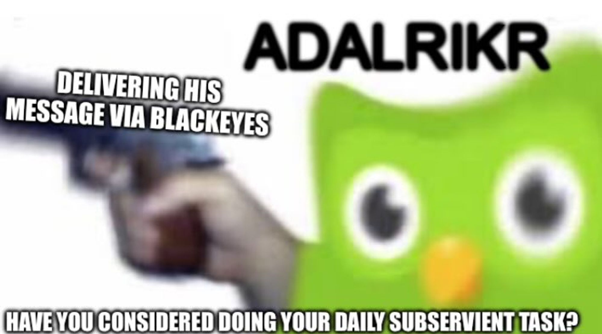 The green owl Duolingo mascot holds a gun. Adalrikr delivering his message via Blackeyes. "Have you considered doing your daily subservient task?"