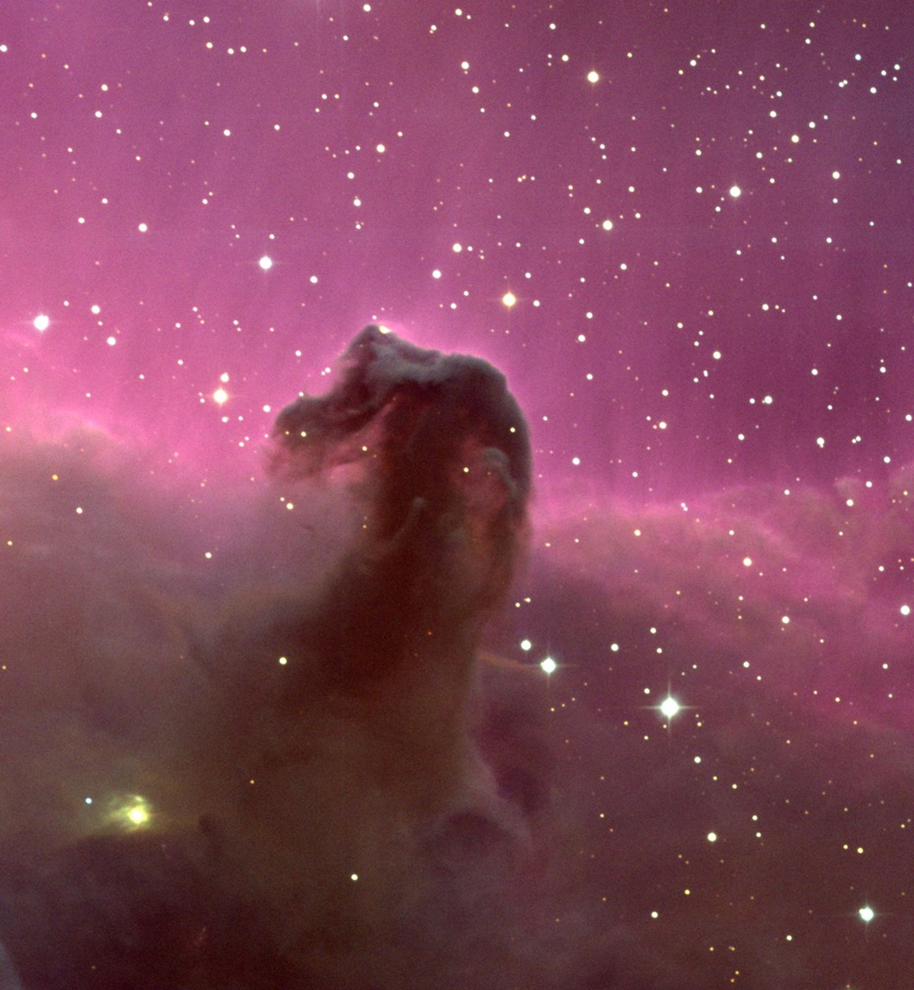 The Horsehead Nebula
A pink and purple background is filled with stars. In the foreground is a bank of brownish cloud-things, with a more dense crooked brown cloudy pillar rising up from the center. Despite this description, it's very beautiful. 