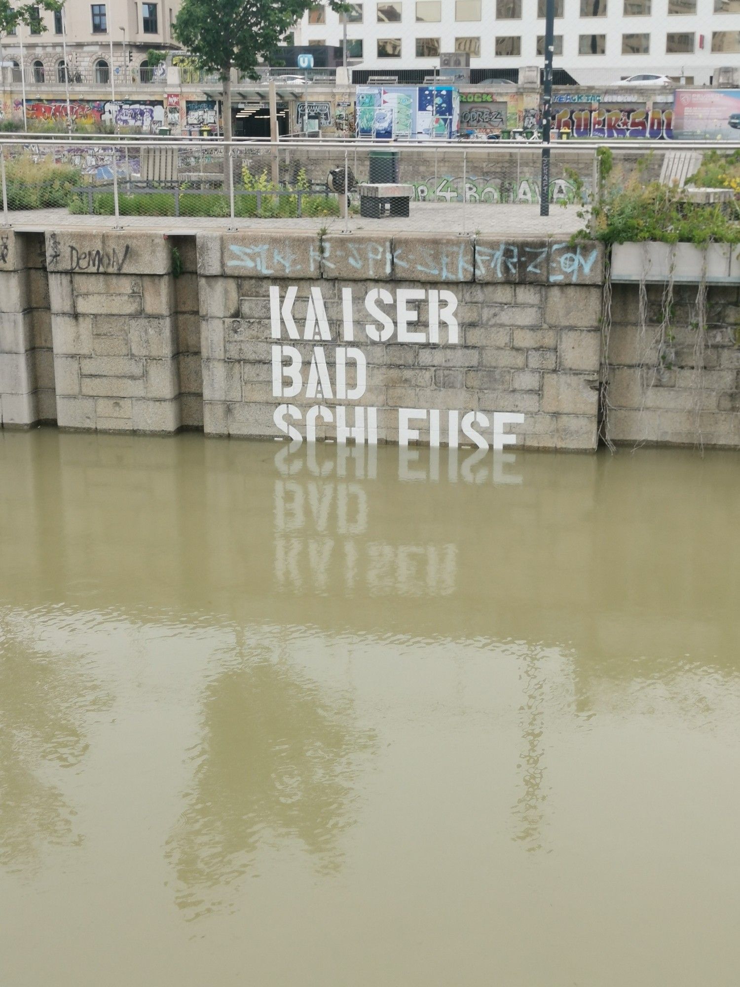 Der Donaukanal mit sehr viel, sehr braunem Wasser. Man sieht eine Wand mit Schrift, die sich im Wasser spiegelt.