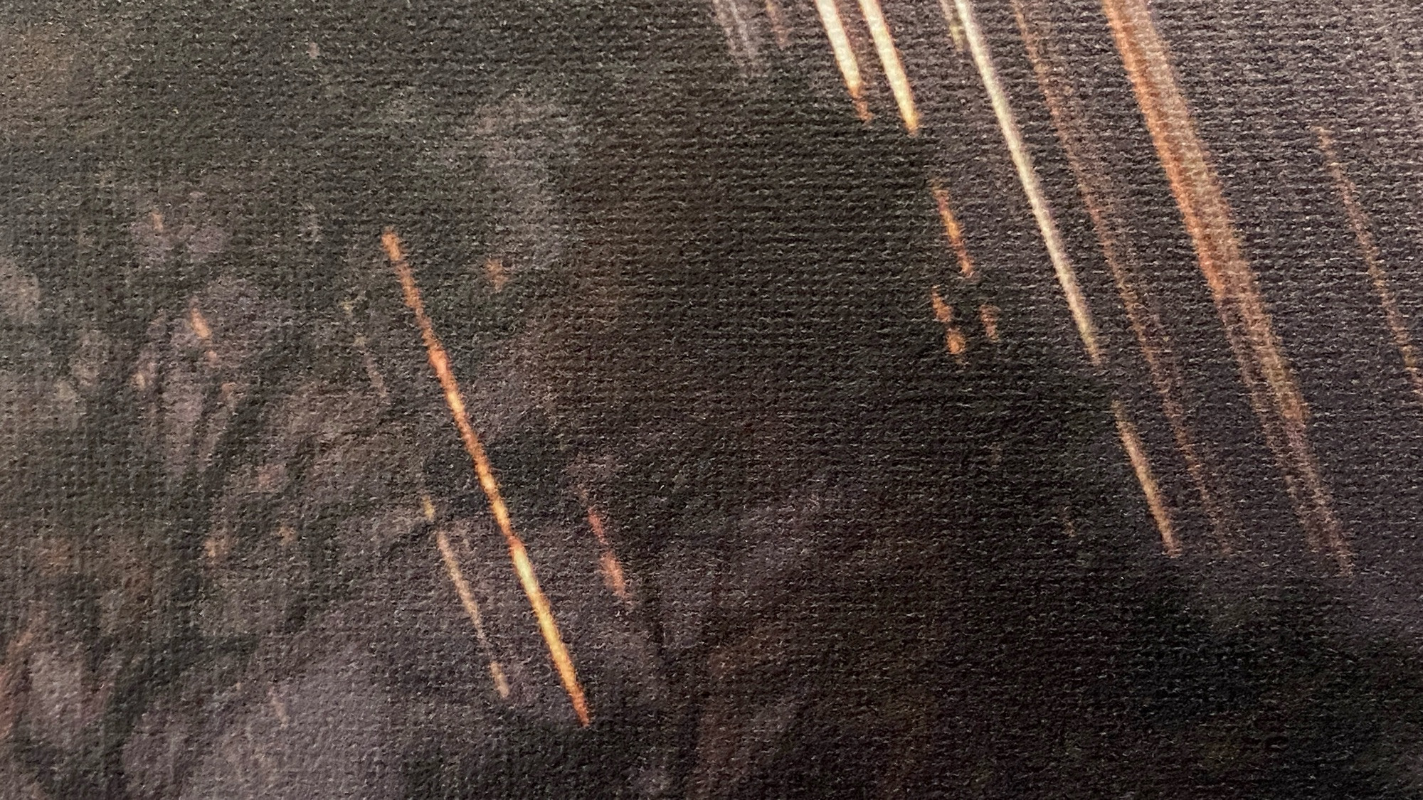 Detail of the Uluru star trails canvas print showing stars through a tree silhouette.