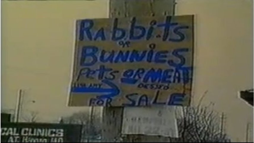 A low resolution screenshot from the Michael Moore documentary "Pets or Meat: The Return to Flint," showing a cardboard sign stapled to a street post that reads "Rabbits or Bunnies, Pets or Meat for Sale."