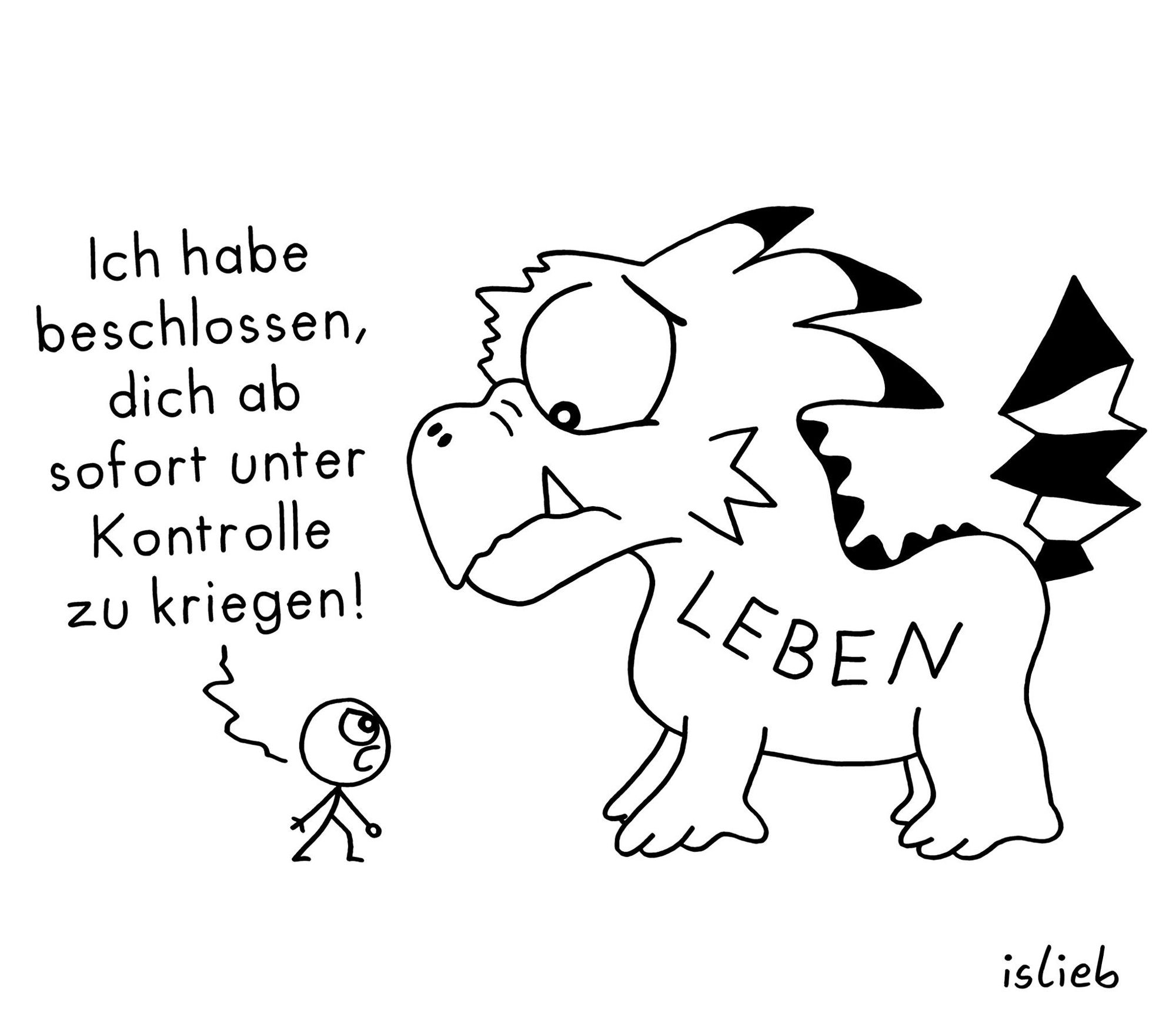 Comic. Eine kleine Figur steht einem riesigen Drachen mit der Aufschrift "Leben" gegenüber. Die Figur ruft trotzig: "Ich habe beschlossen, ducbh ab sofort unter Kontrolle zu kriegen." Das Leben guckt die Figur etwas betrübt an.