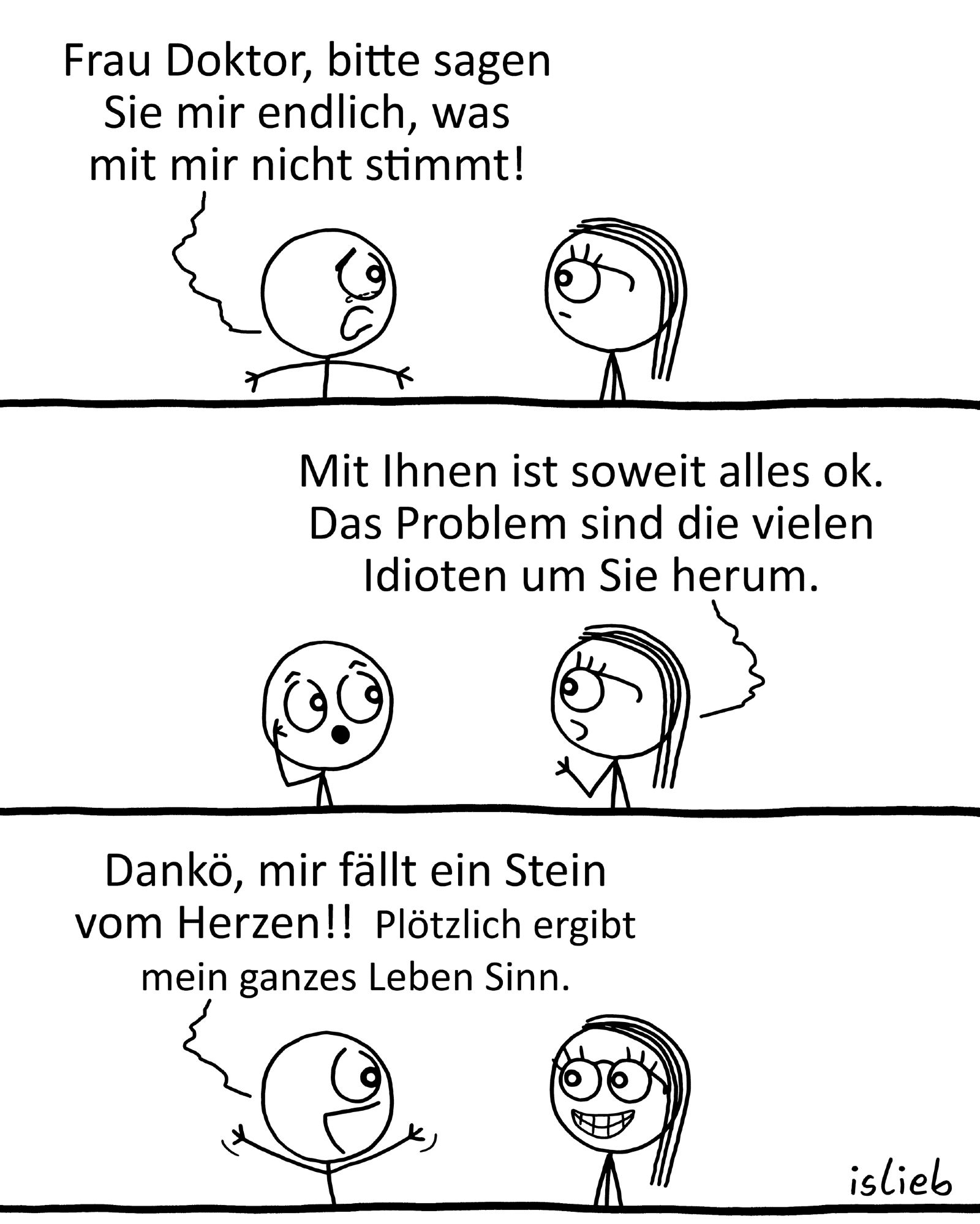 Comic. Patient ruft verzweifelt: "Frau Doktor, bitte sagen Sie mir, was mit mir nicht stimmt!" Die Ärztin antwortet: "Mit Ihnen ist soweit alles ok. Das Problem sind die vielen Idioten um Sie herum." Der Patient freut sich und meint: "Dankö, mir fällt ein Stein vom Herzen! Plötzlich ergibt mein ganzes Leben Sinn."