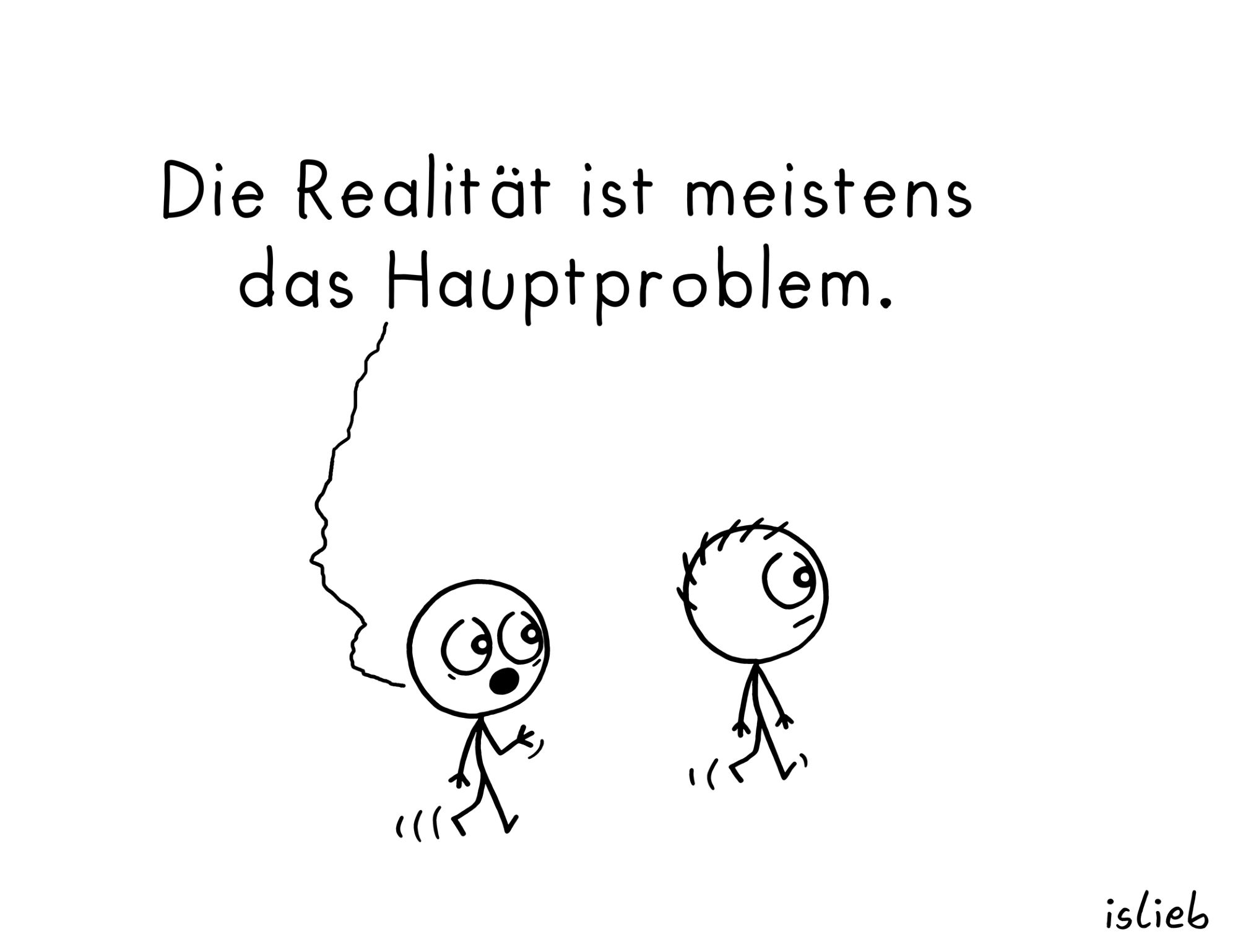 Comic. Zwei Figuren laufen durch die Gegend. Figur eins merkt an: "Die Realität ist meistens das Hauptproblem."