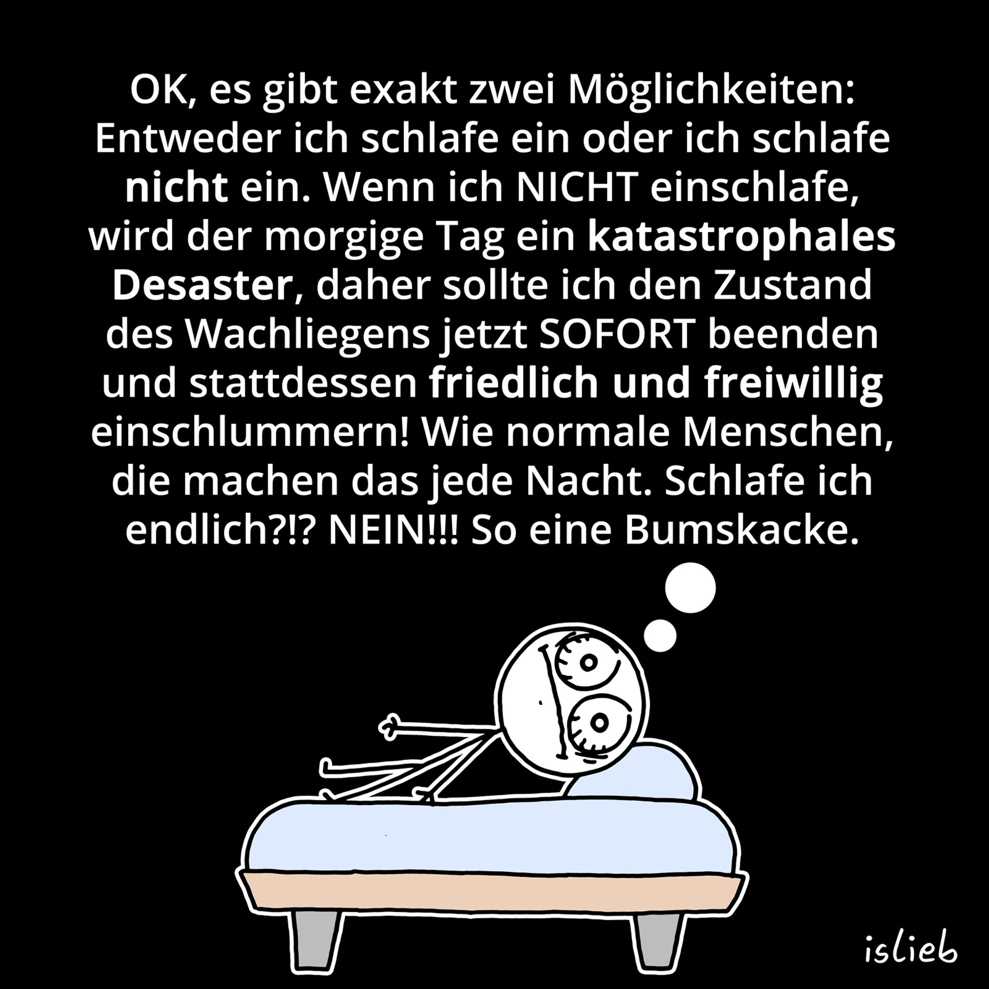 Comic. Eine Figur liegt nachts im Bett und denkt: "OK, es gibt exakt zwei Möglichkeiten: Entweder ich schlafe ein oder ich schlafe nicht ein. Wenn ich NICHT einschlafe, wird der morgige Tag ein katastrophales Desaster, daher sollte ich den Zustand des Wachliegens jetzt sofort beenden und stattdessen friedlich und freiwillig einschlummern! Wie normale Menschen, die machen das jede Nacht. Schlafe ich endlich? Nein! So eine Bumskacke."