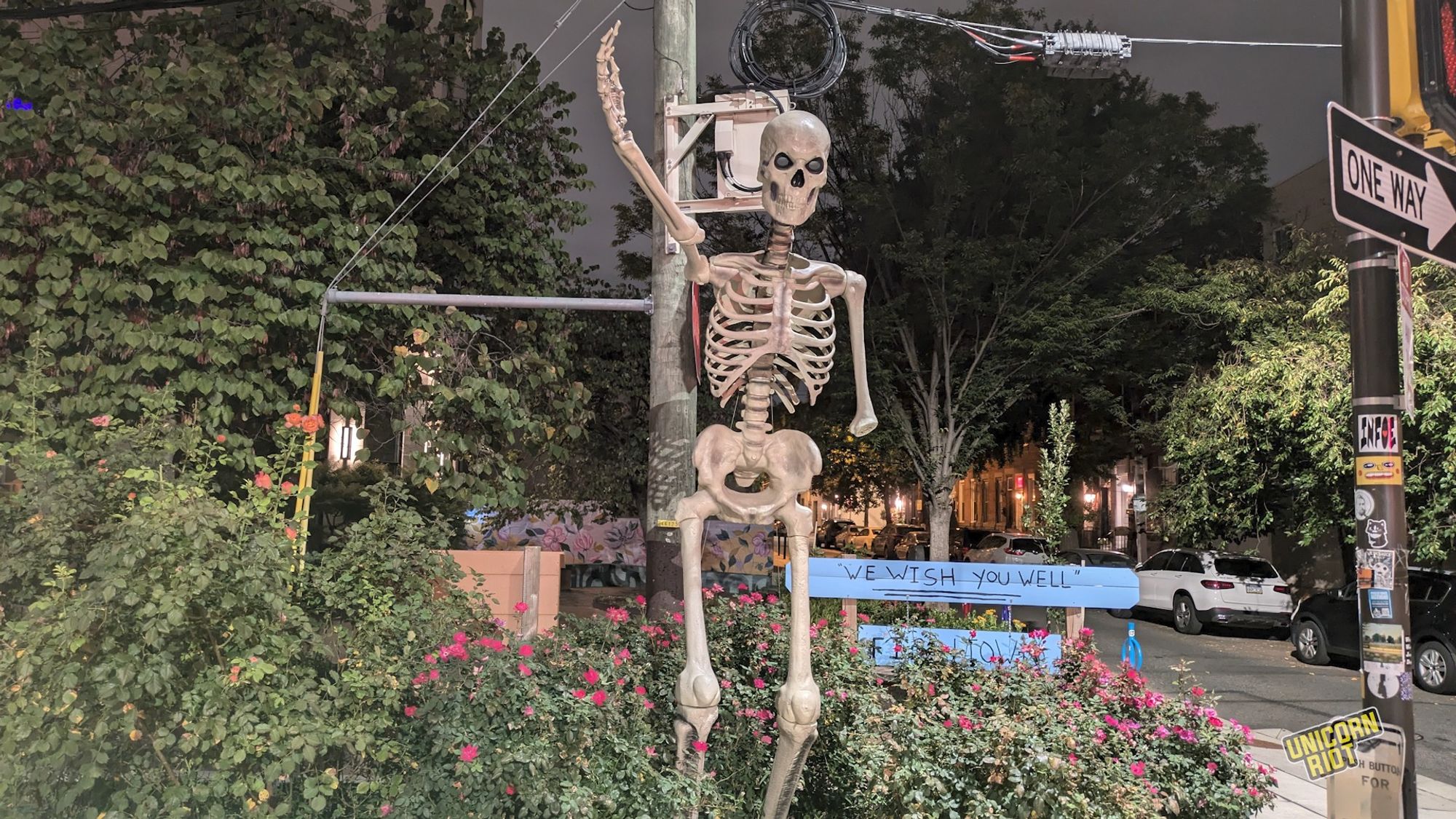 A large skeleton with its right arm raised is seen amidst red flowers and green shrubbery next to a sticker-covered street pole with a "one way" sign - behind it a wooden sign or fence post has "We Wish You Well" written on it in black sharpie