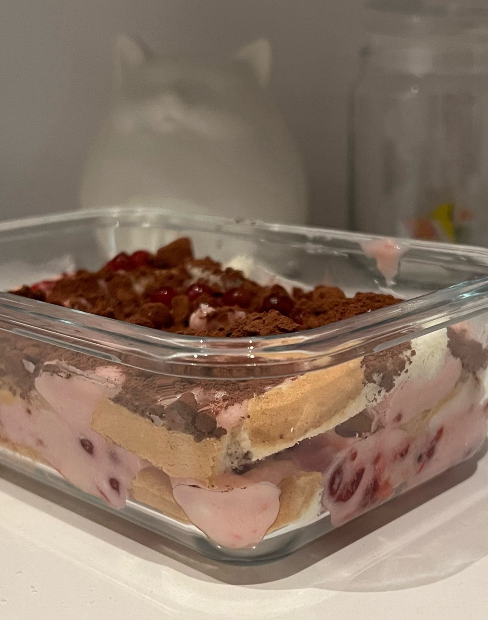 Image of a food container storing a quick tiramisu perpetration. First time I try to prepare it with gluten-free and vegan ingredients. Added some lingonberries for joy. It was… ok for survival needs, but my kingdom for a vegan mascarpone that doesn’t taste like dated cardboard.