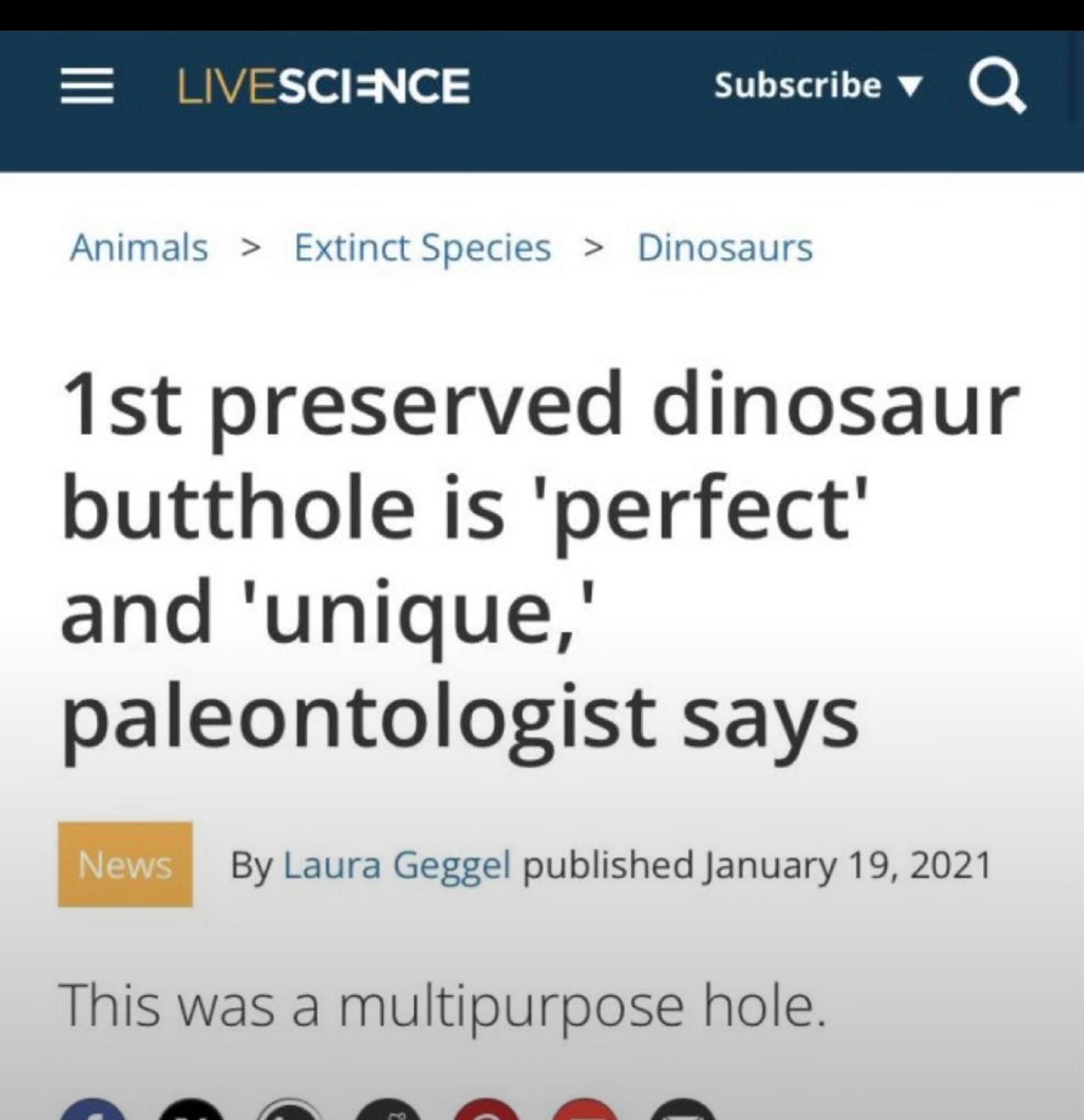 = LIVESCINCE
Subscribe v
Animals > Extinct Species > Dinosaurs
1st preserved dinosaur butthole is 'perfect' and 'unique,'
paleontologist says
News
By Laura Geggel published January 19, 2021
This was a multipurpose hole.