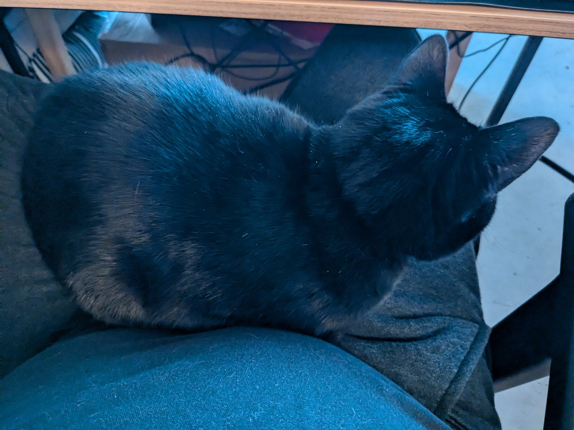 Lap Worf