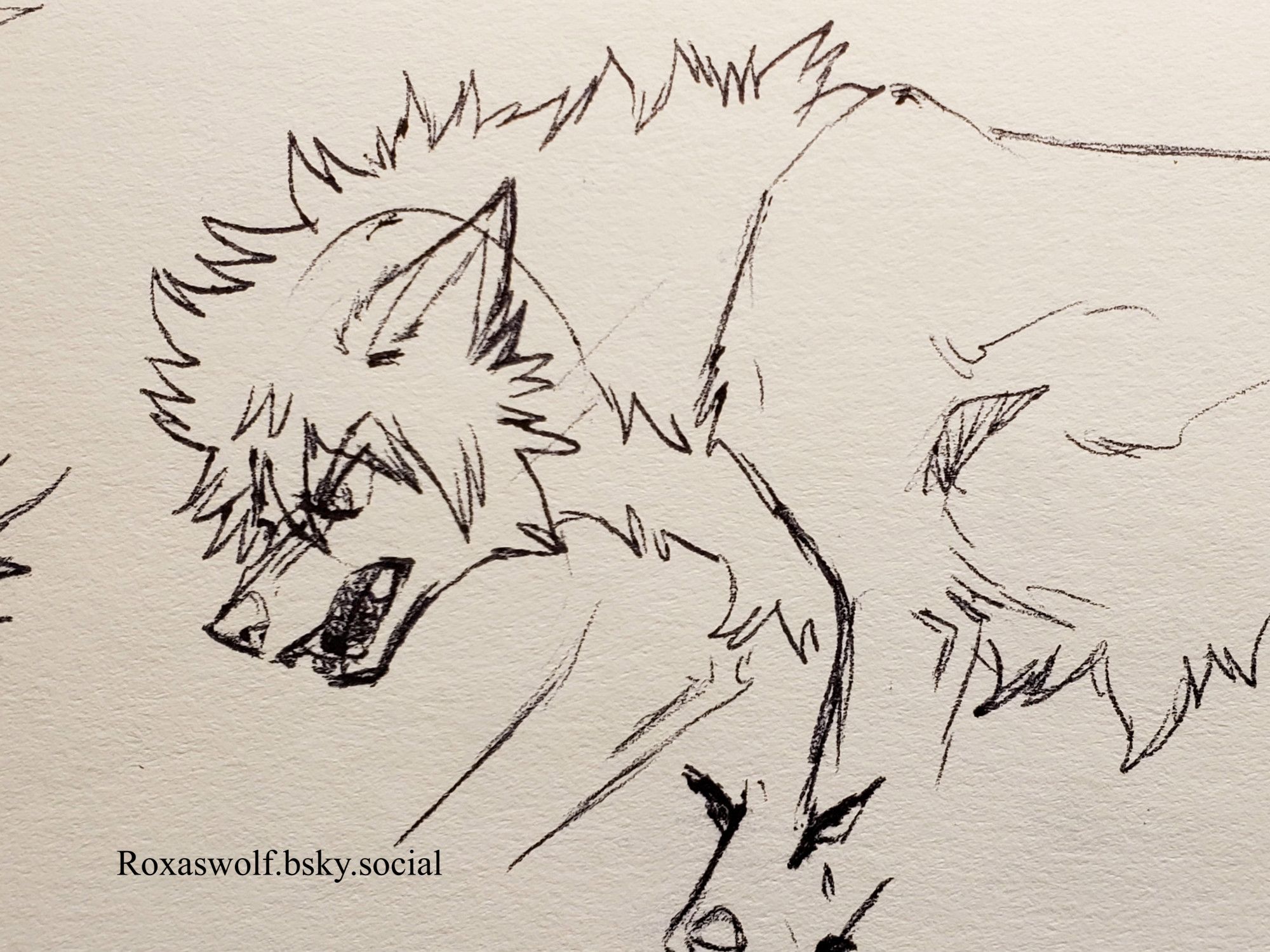 An ink sketch of Wolf!Roxas snarling.