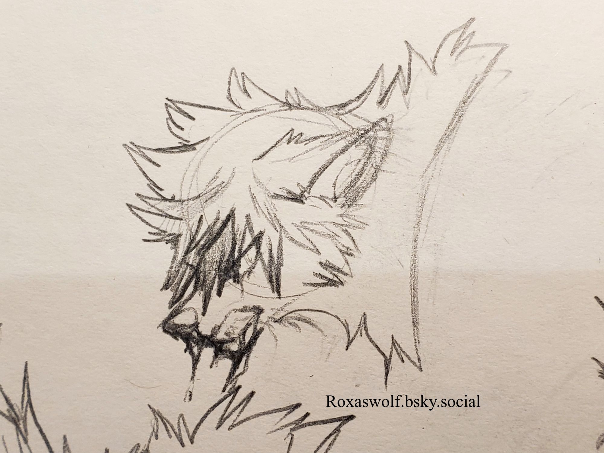 A pencil sketch of Wolf!Roxas snarling through gritted teeth. A dark fluid drips from his muzzle.