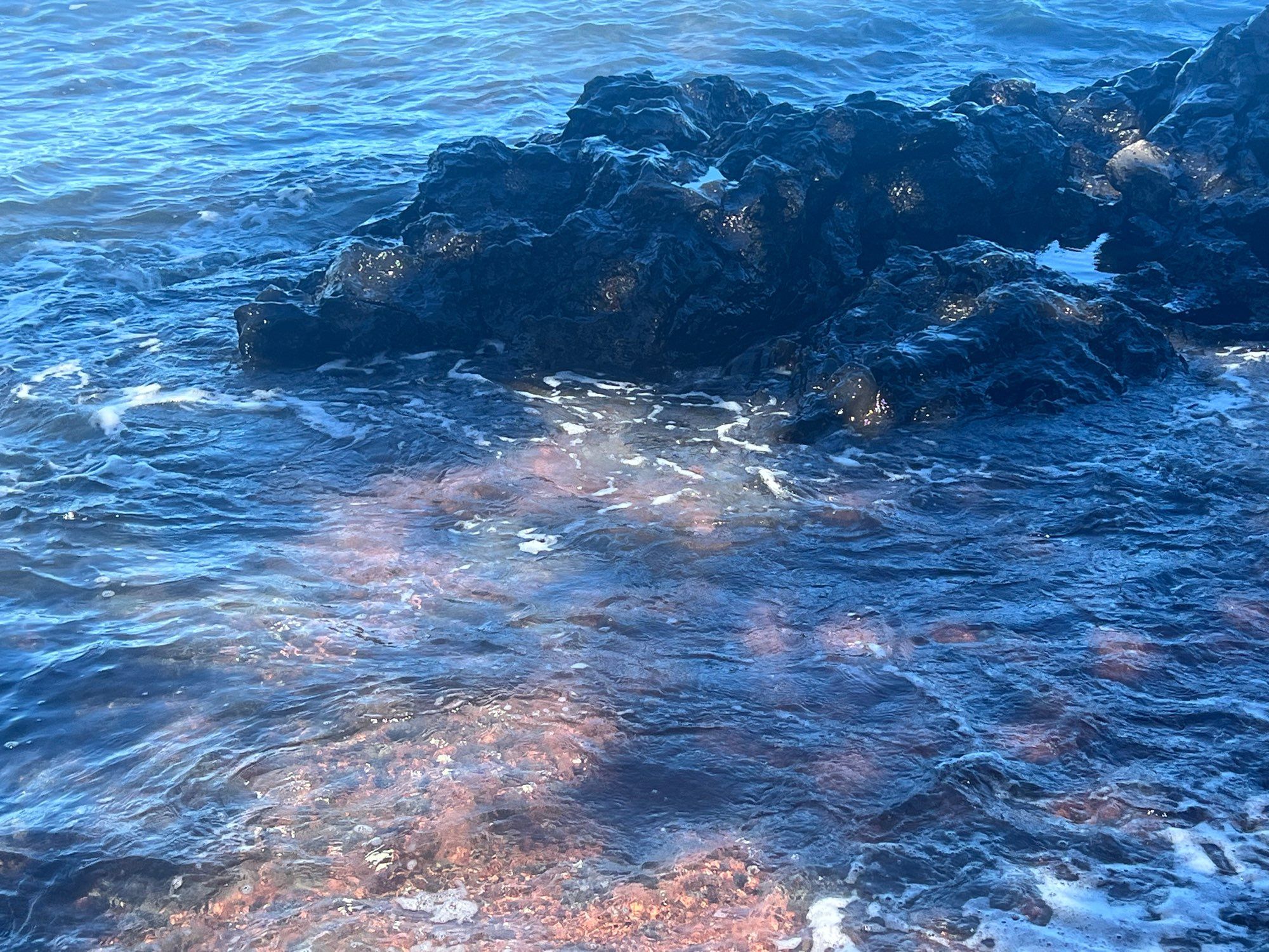 A tide pool with red and black sand on the beach