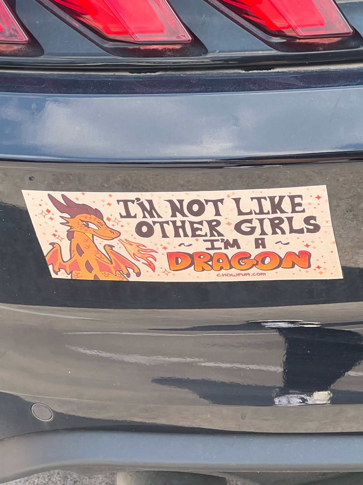 A bumper sticker with a cartoon dragoness and text that reads “I’m not like other girls, I’m a DRAGON”