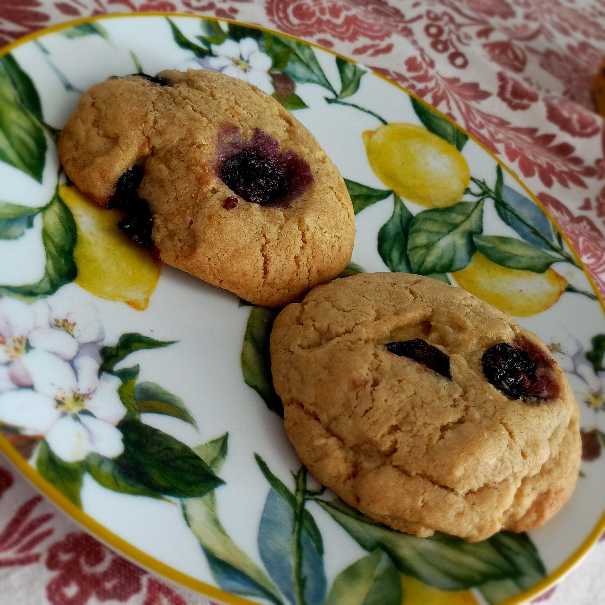 Dois cookies de limão e mirtilo depois de assados sobre um prato branco com desenhos de folhas, flores de limão e de limão siciliano