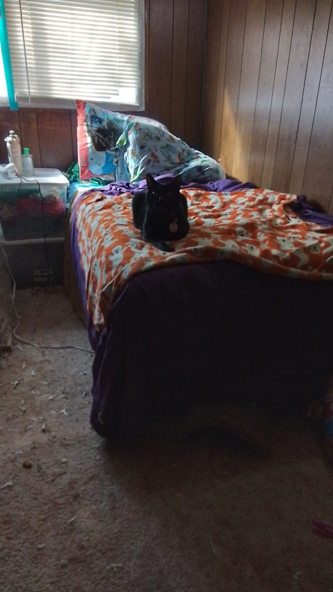 A sleepy  black  cat is enjoying the electric blanket on his humans bed.