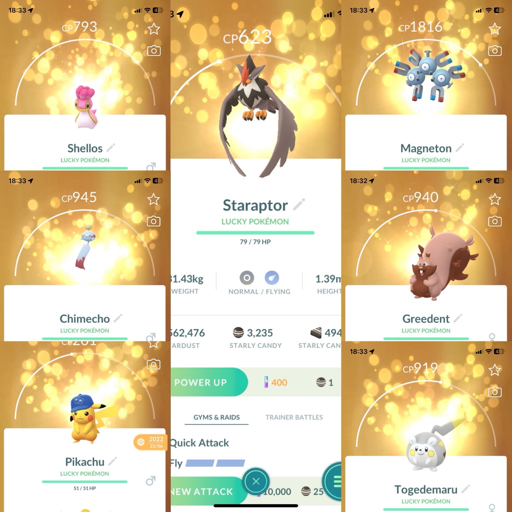 Composite screenshot from the game Pokémon Go collecting seven lucky Pokémon. There are three columns. 

The first contains west sea Shellos, Chimecho, Pokémon trading card game hat Pikachu. 

The second column contains only Staraptor. 

The third column contains Magneton, Greedent, and Togedemaru.