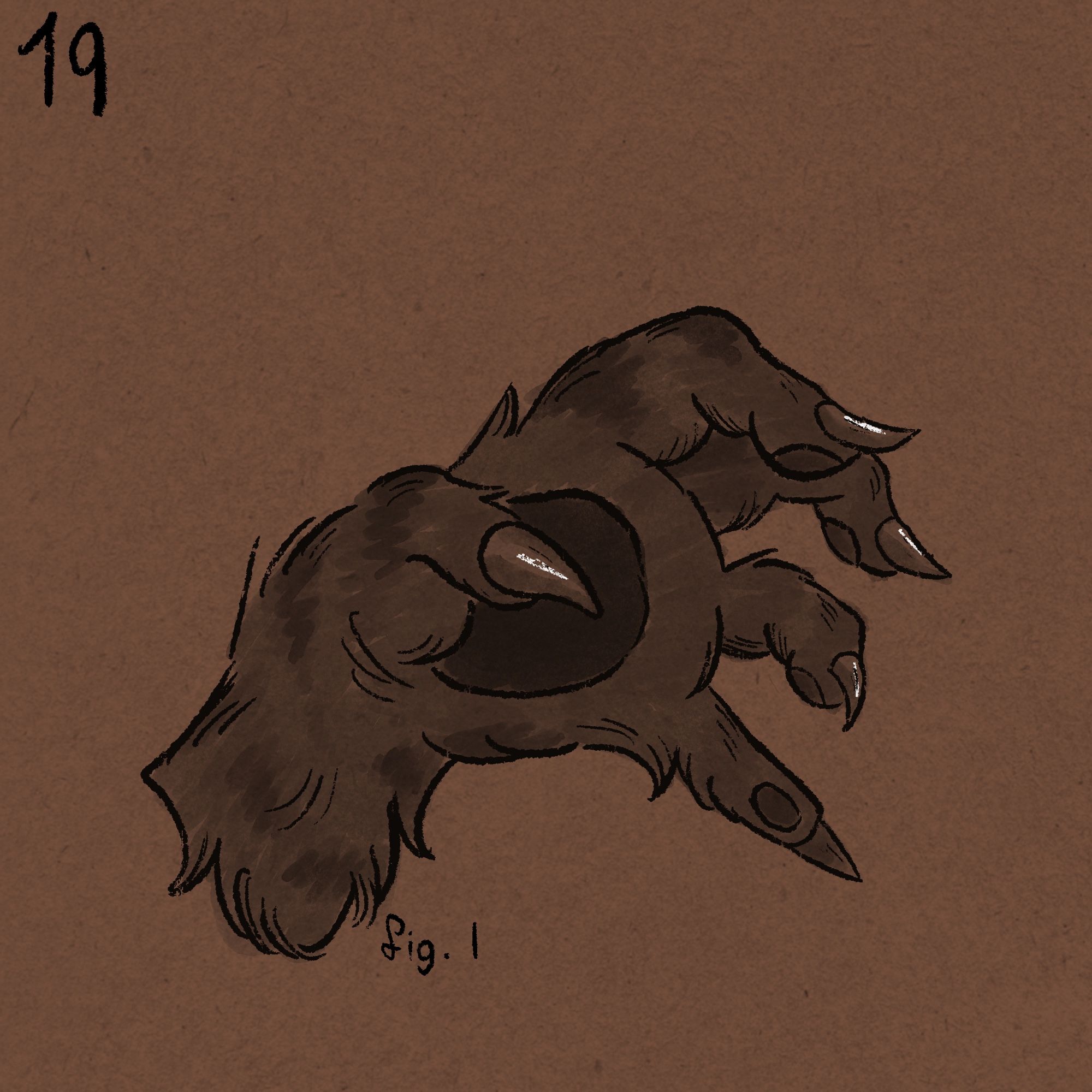 A monotone drawing of a werewolf hand. In small letters is “figure one” written next to it.