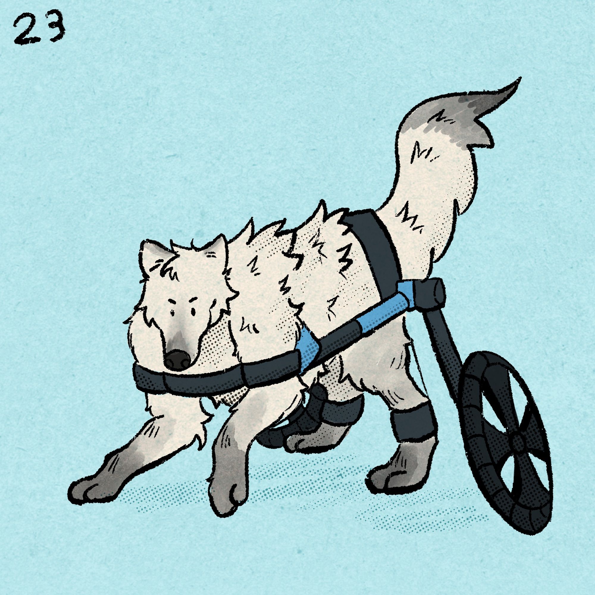 A white werewolf with gray paws stands triumphantly, its back legs supported by a blue canine wheelchair.