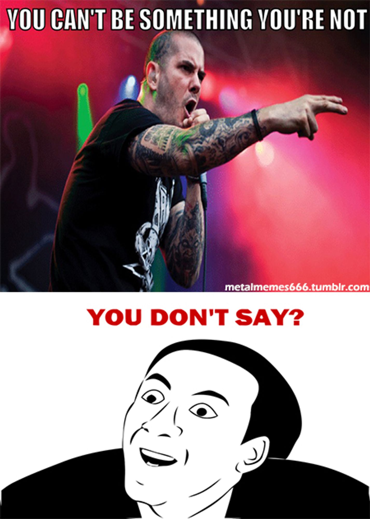 1st Frame: Phil from Pantera live yelling "You Can't Be Something You're Not"
2nd Frame: YOU DONT SAY [meme]