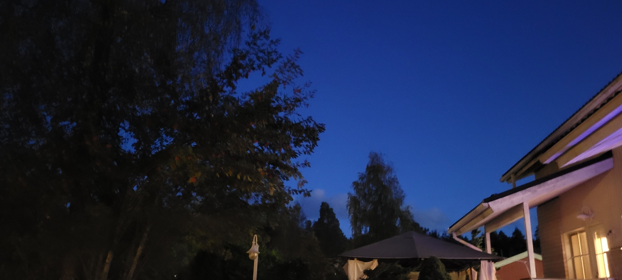 The darkening ski over the roof of our house and our birch and rowan trees. You can see golden light from our dining room windows.