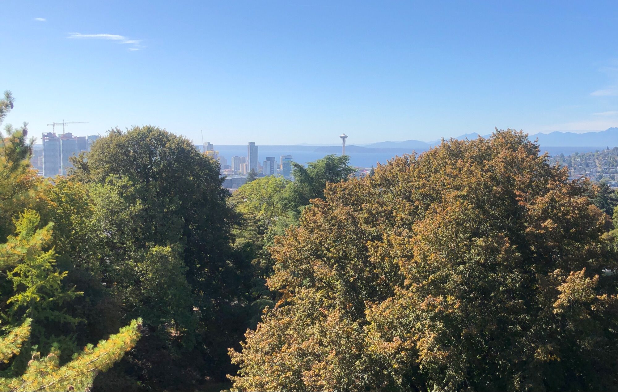 View from the Volunteer Park water tower