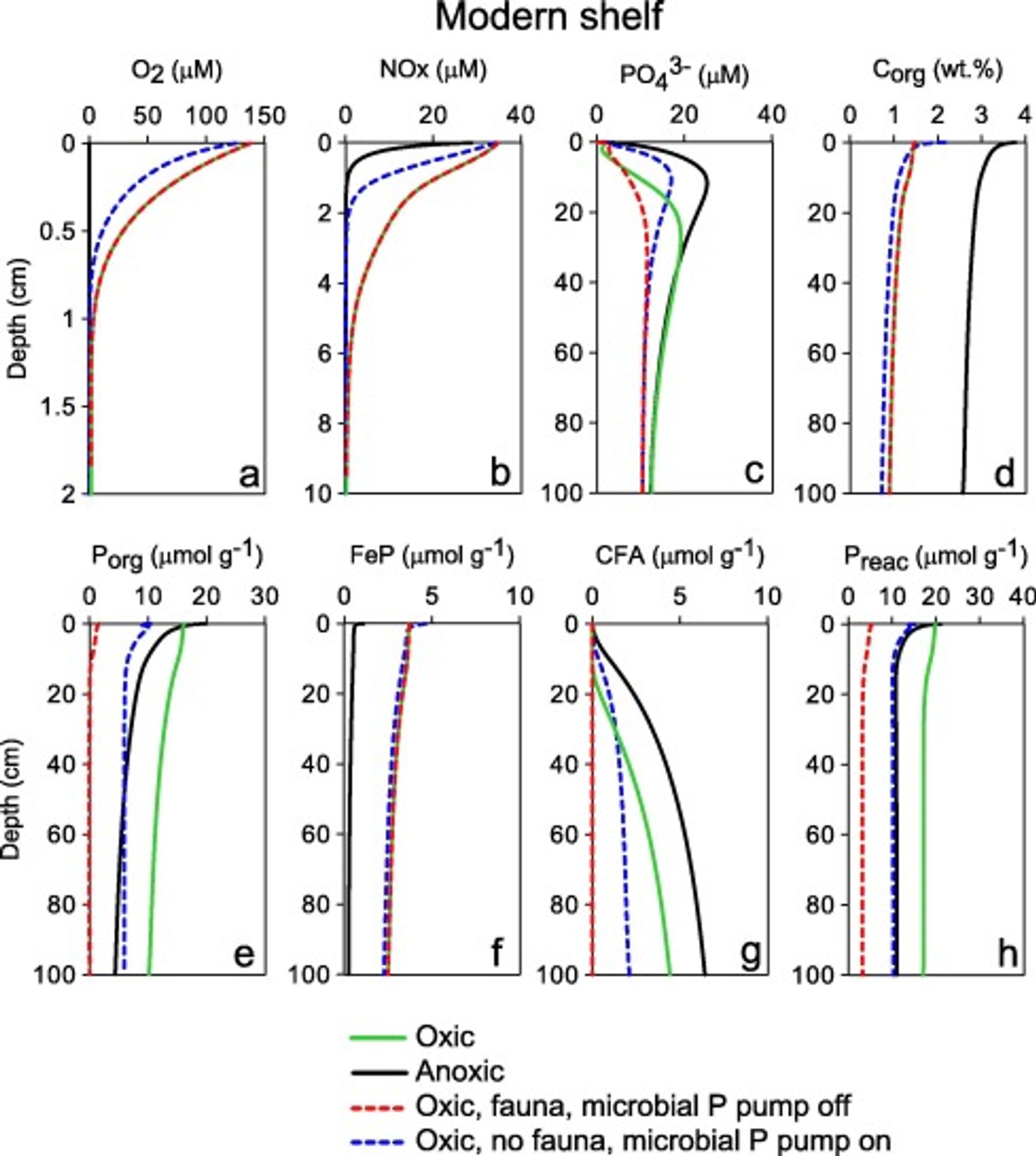 Figure 3 from Dale et al. (2016): Simulated concentrations in modern shelf sediments. (a) Dissolved oxygen, (b) nitrate + nitrite, (c) phosphate, (d) organic C, (e) organic P (including Porg-U), (f) iron-associated P, (g) carbonate fluorapatite, and (h) total reactive P. Green and black curves represent scenarios with oxic and anoxic bottom waters, respectively. Dashed red curves show simulation results for oxic sediments without the microbial P pump and thus the effect of animals only. The dashed blue curves examine the effect of microbial P without bioturbation and bioirrigation. Despite preferential mineralization of Porg in oxic sediment layers, Porg concentrations are highest in the oxic scenario due to the synthesis of microbial Porg. Corg concentrations are, in contrast, lower in oxic sediments. Porg is absent below the bioturbation zone in the simulation without microbial P synthesis. Note difference in depth scale.