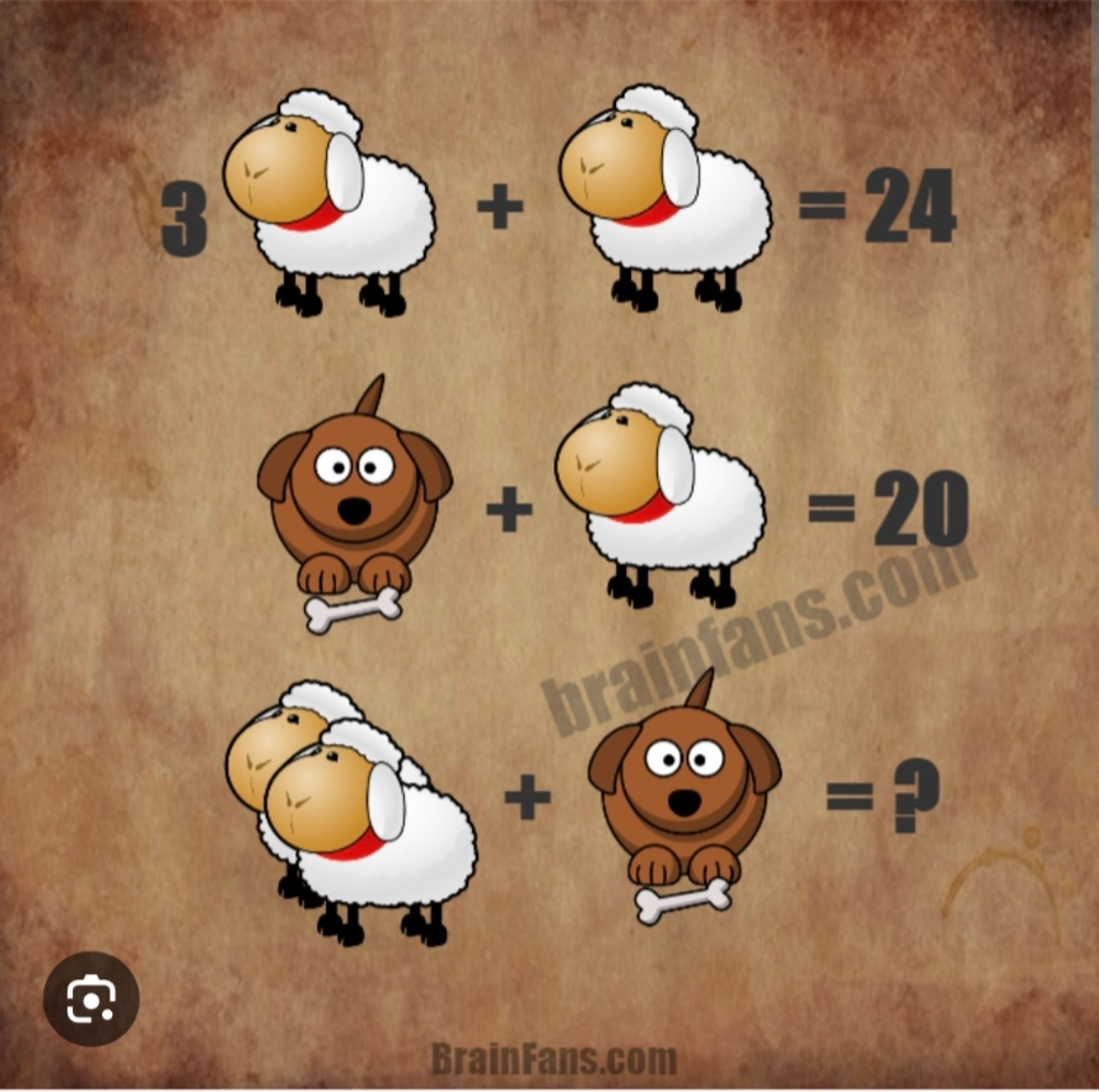 A cartoon image, which is a math problem.
3  a sheep + a sheep = 24
Dog with bone + a sheep = 20
Image of 2 sheep + dog with bone = ?