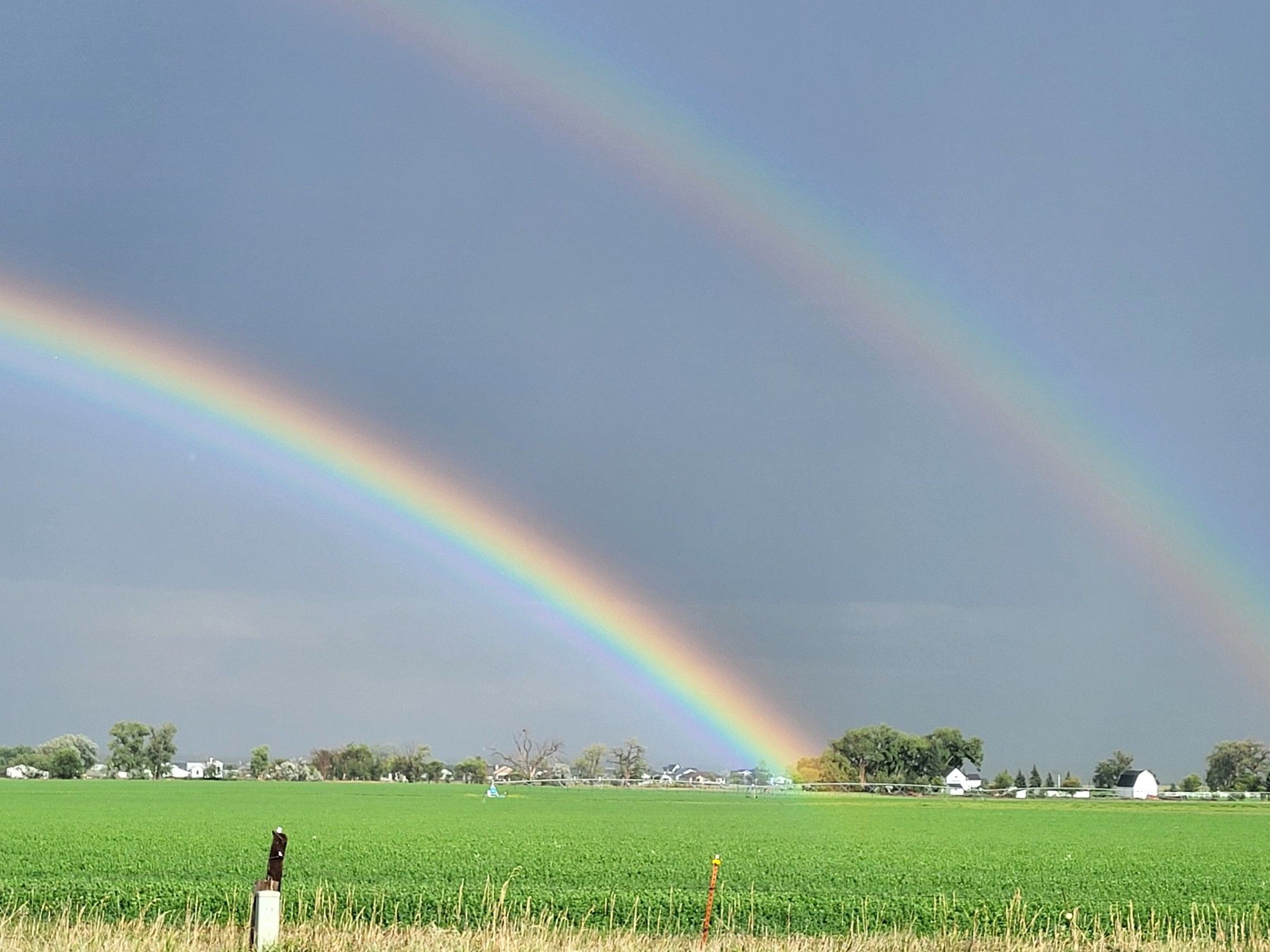 Double rainbow over a green pasture