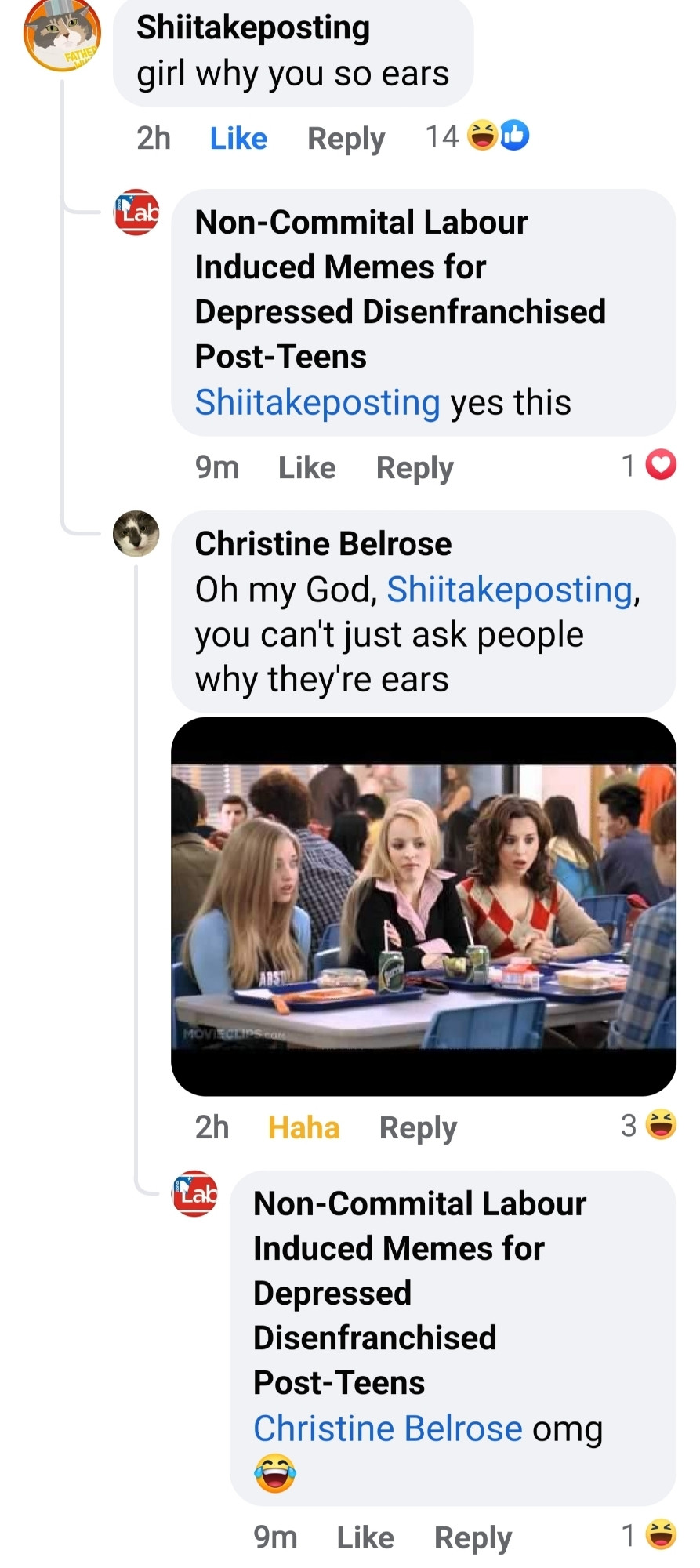 Shiitakeposting says: girl why you so ears

Then another commenter says: yes this 

Next commenter says: oh my god shiitakeposting, you can't just ask people why they're ears

With a gif of mean girls below