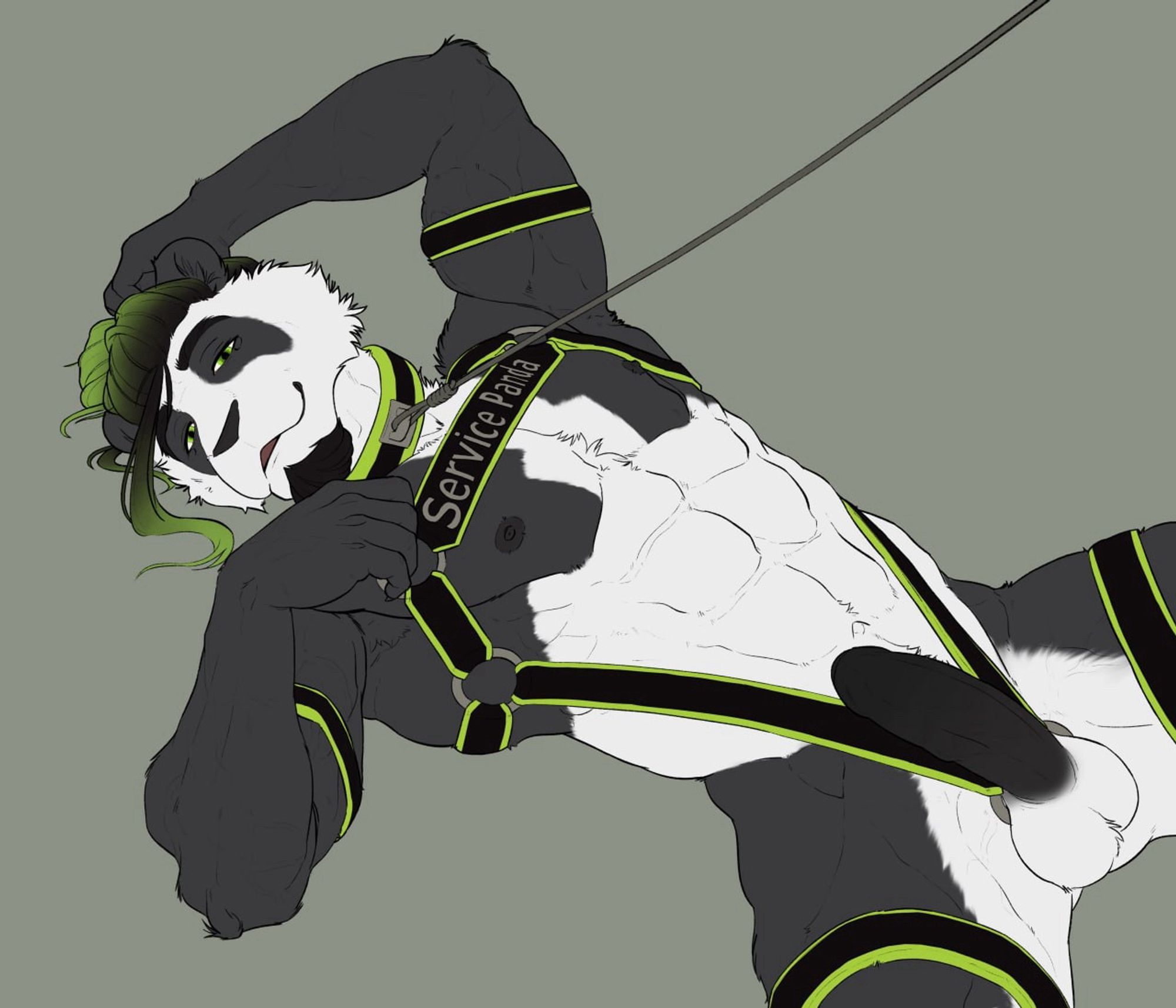 Sexy muscle panda Rick, laying down wearing harness, total naked with erection, staring at you