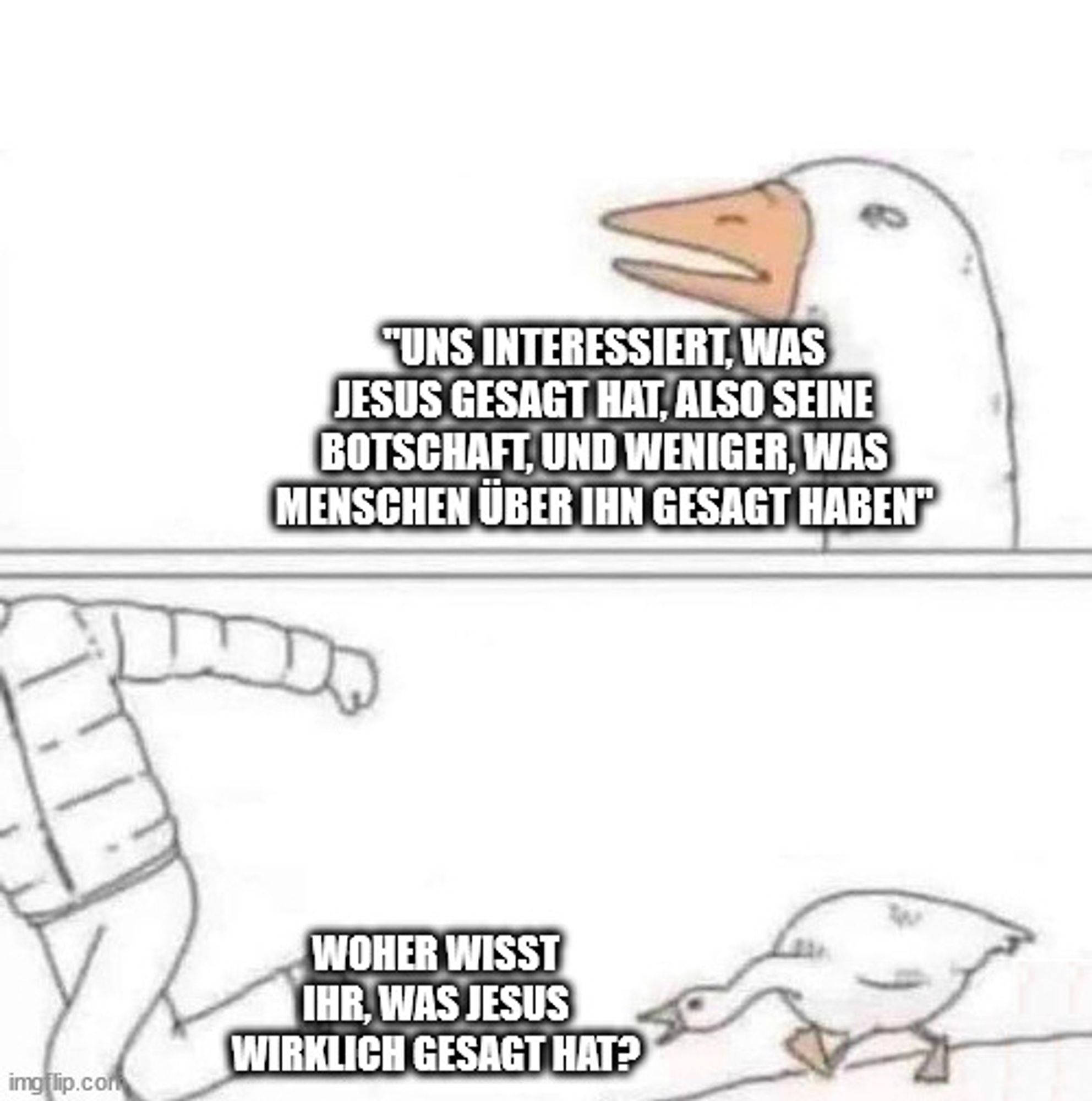 Gans jagt Meme:
Aussage: uns interessiert, was Jesus gesagt hat, also seine Botschaft, und weniger, was Menschen über ihn gesagt haben"
Jagd: Woher wisst ihr, was Jesus wirklich gesagt hat?