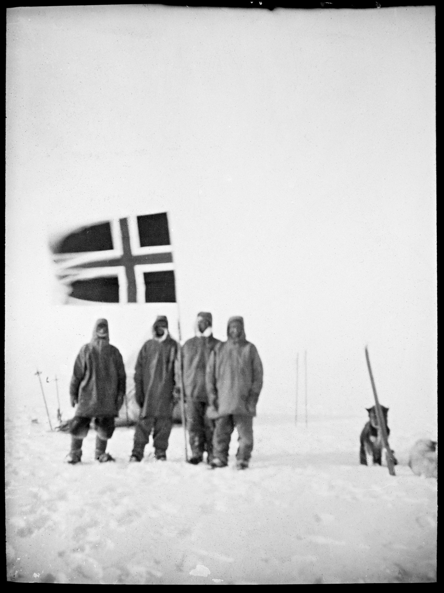 Heavily bundled up people and what looks to be some very cold dogs stand near a Norwegian flag which is blowing in the wind on a snowy plain