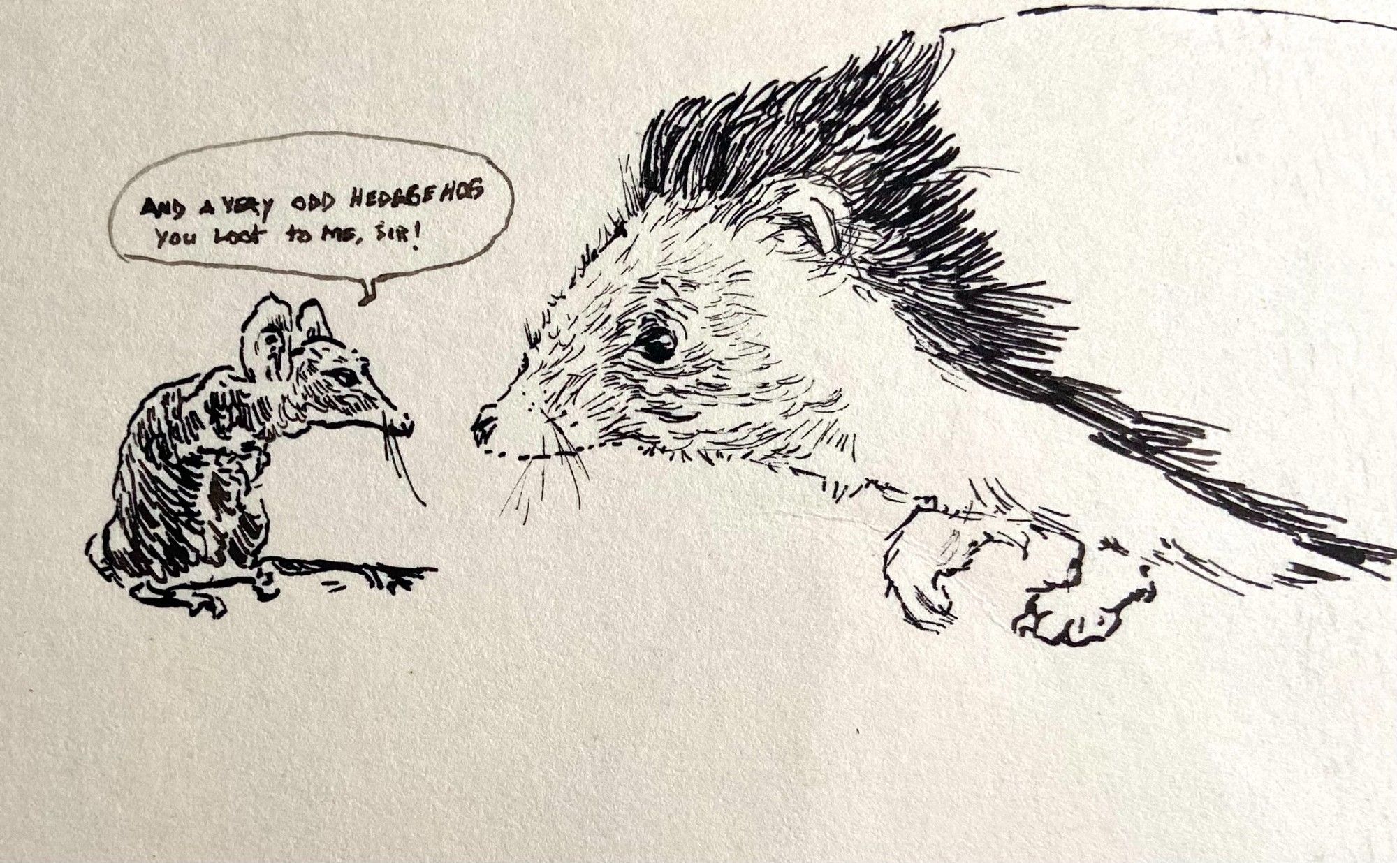 Rat and hedgehog ink sketch