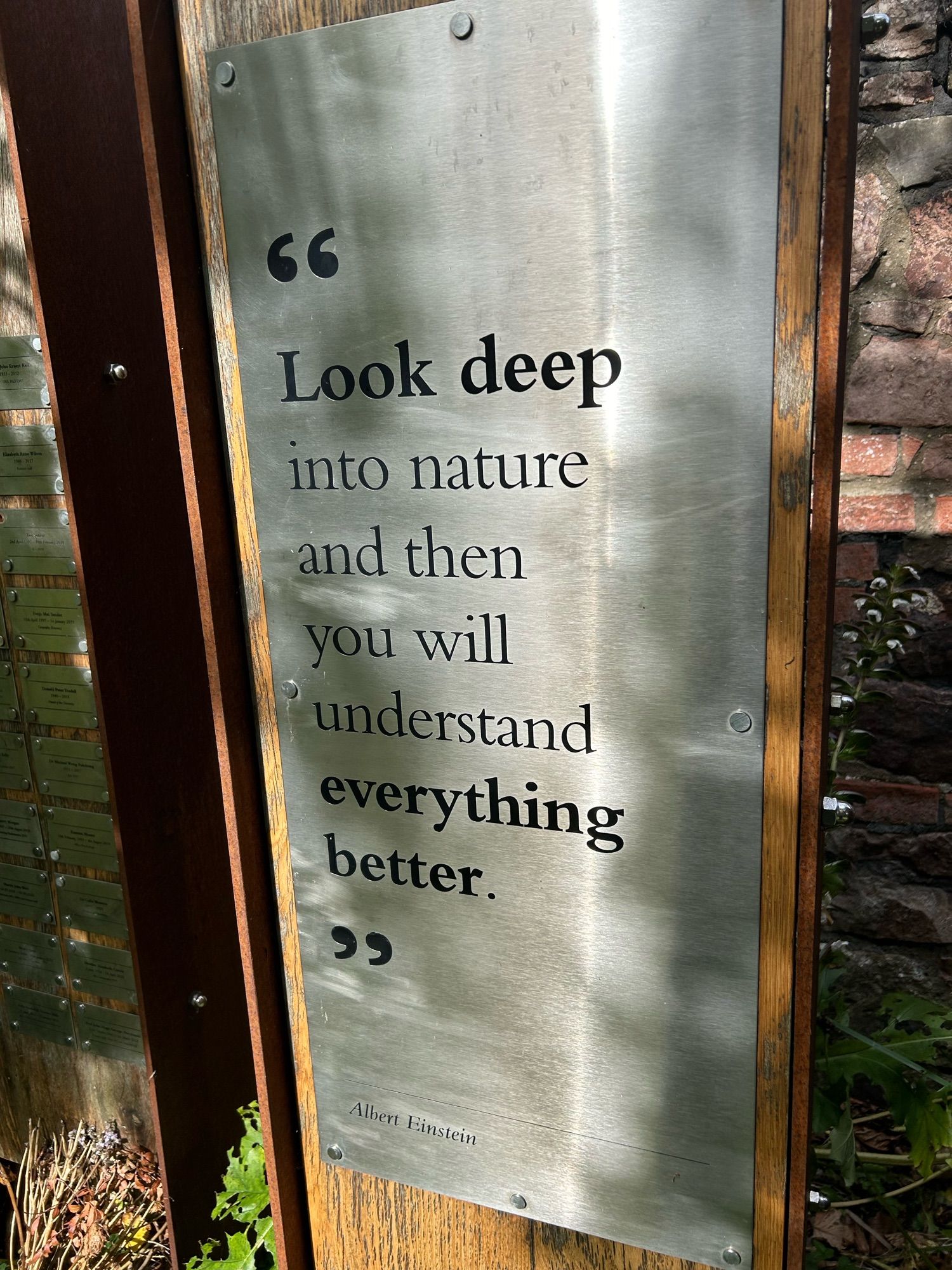 A quotation from Albert Einstein, etched into a metal plate and mounted on wood “Look deep into nature and then you will understand everything better.”